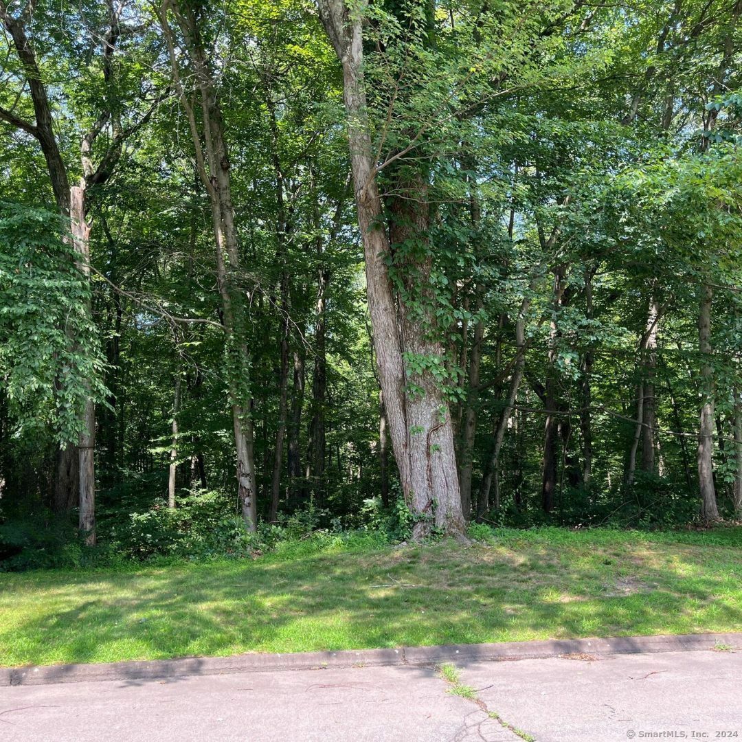 Property Photo:  10 Spear Circle  CT 06525 