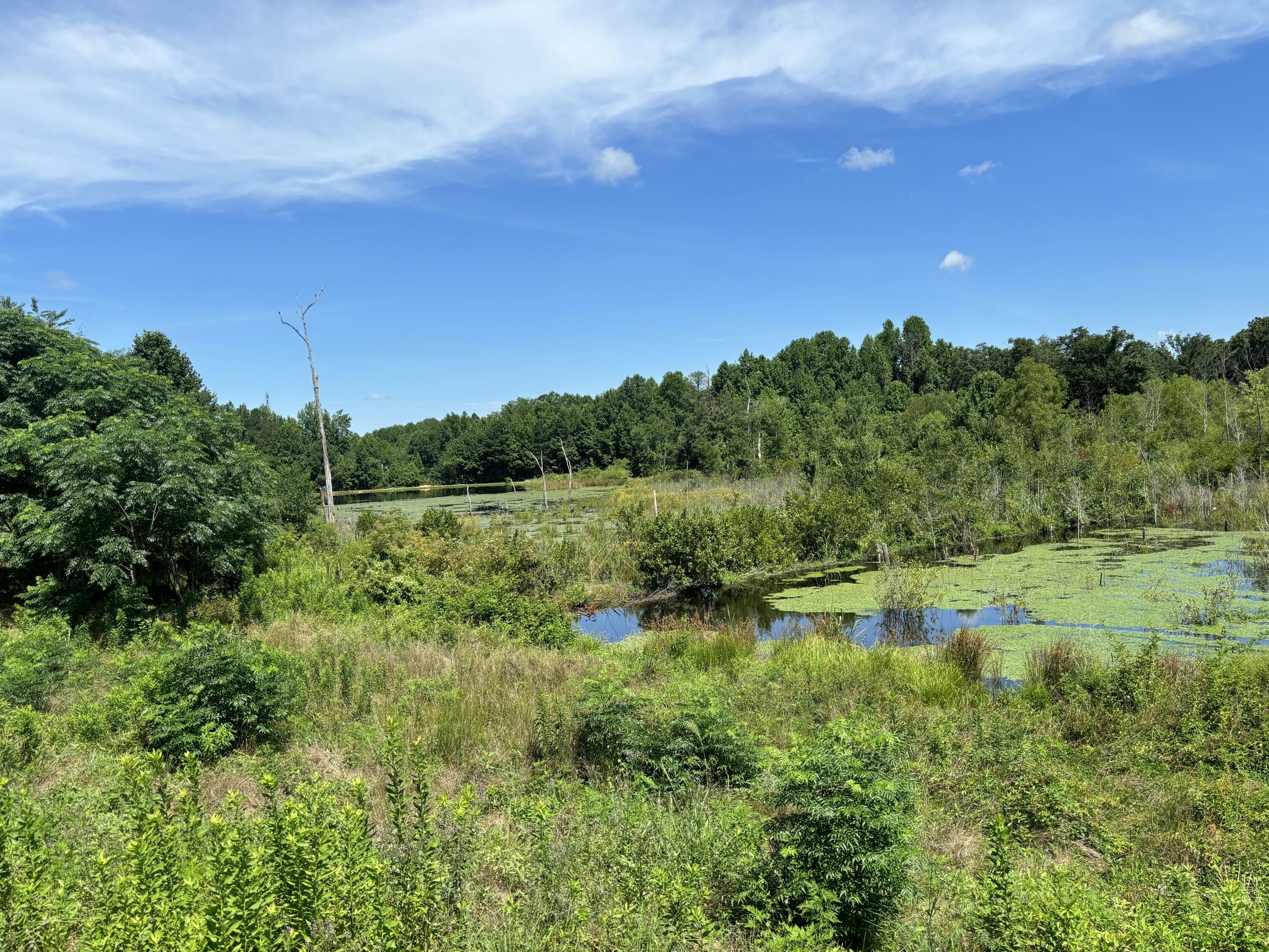 Property Photo:  3704 Mitchner Road  GA 30808 