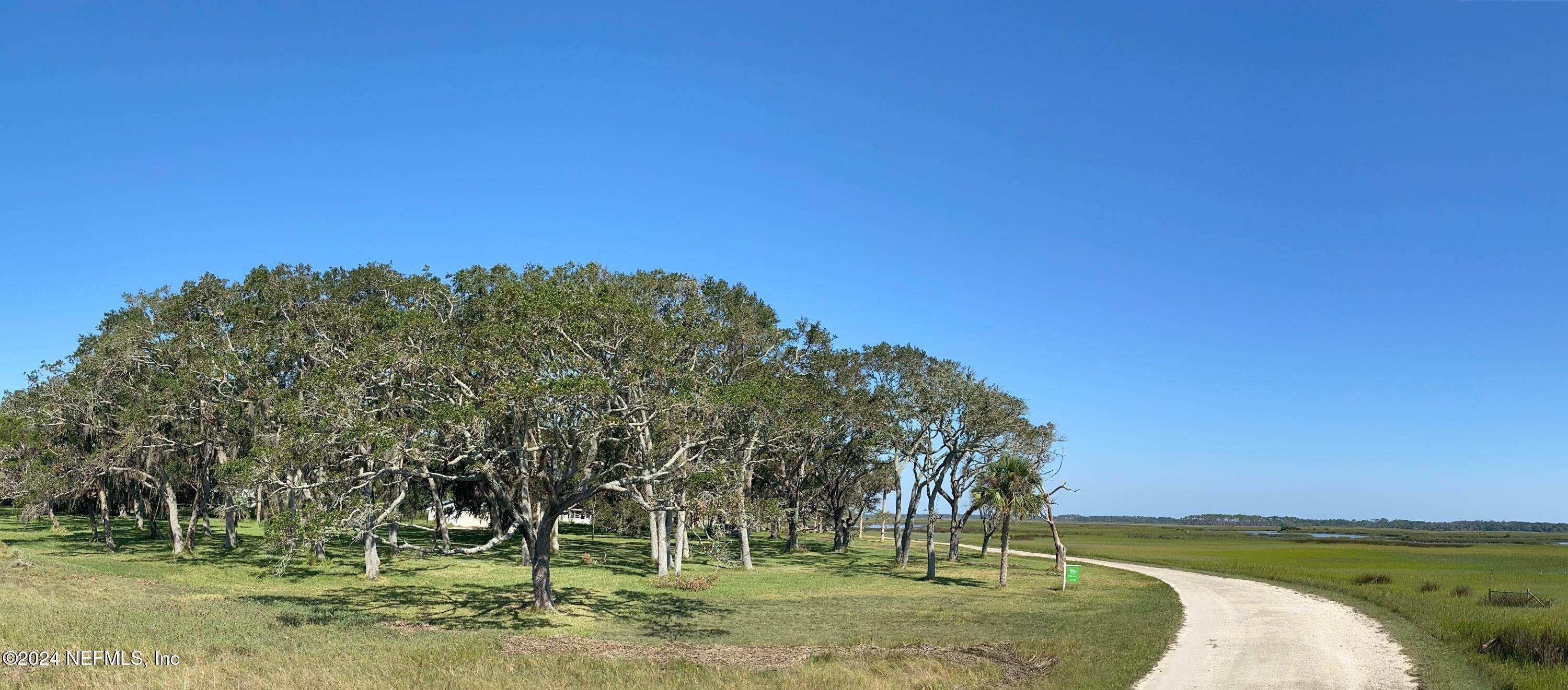 Property Photo:  Isle Lot 1 Stokes Landing Road  FL 32095 