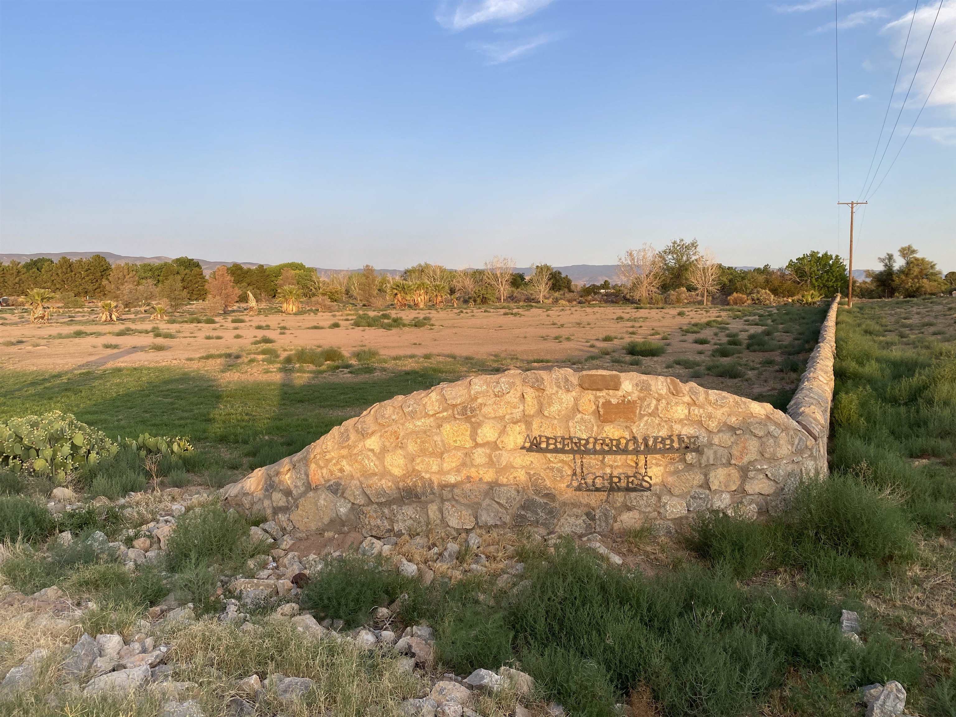 Property Photo:  Lot 1 &Amp Lot 2 Abercrombie Acres  NM 88352 