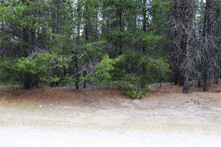 Photo de la propriété: 0 Lot 12 Diamond Drive WA 99156
