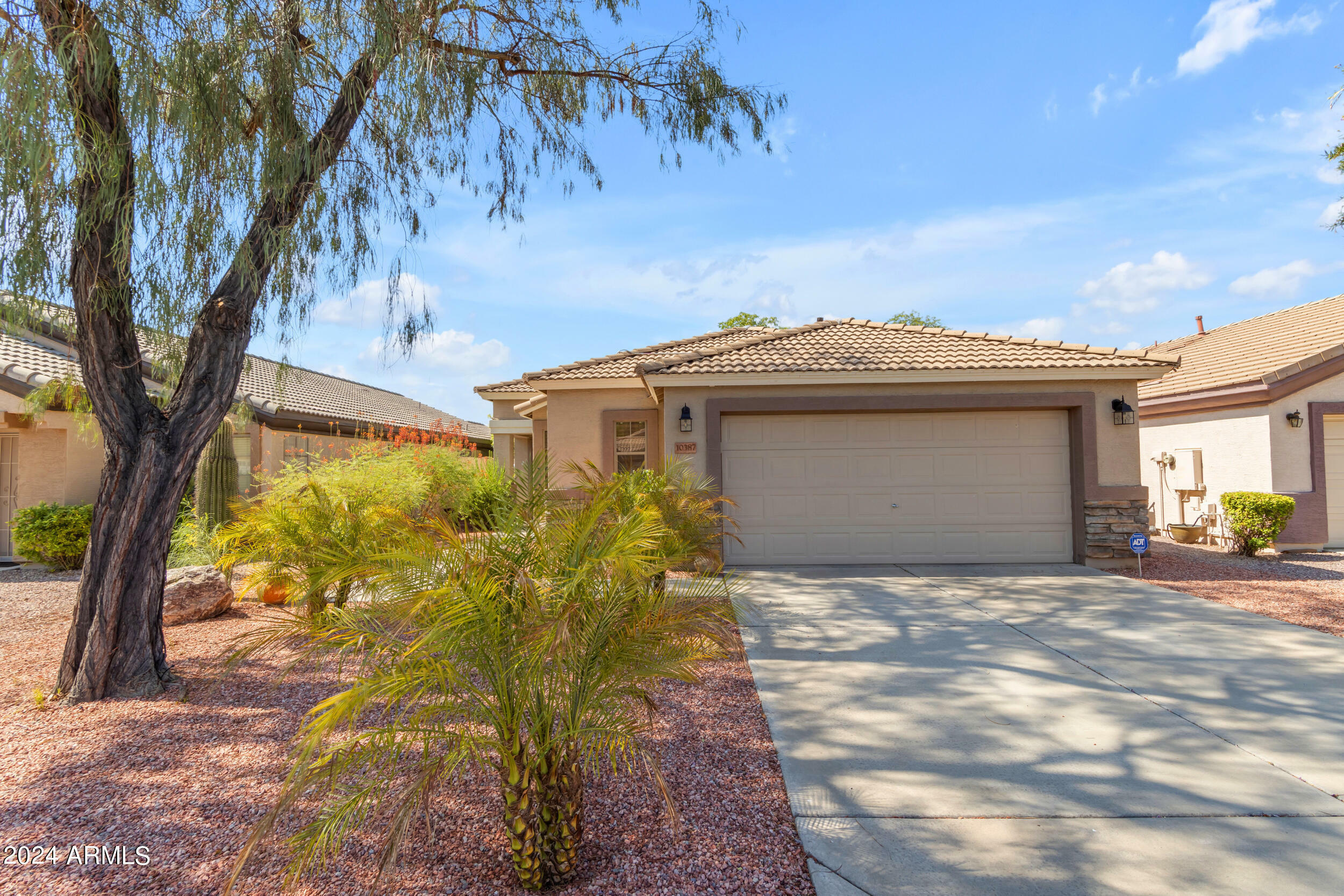 Property Photo:  10387 W Runion Drive  AZ 85382 