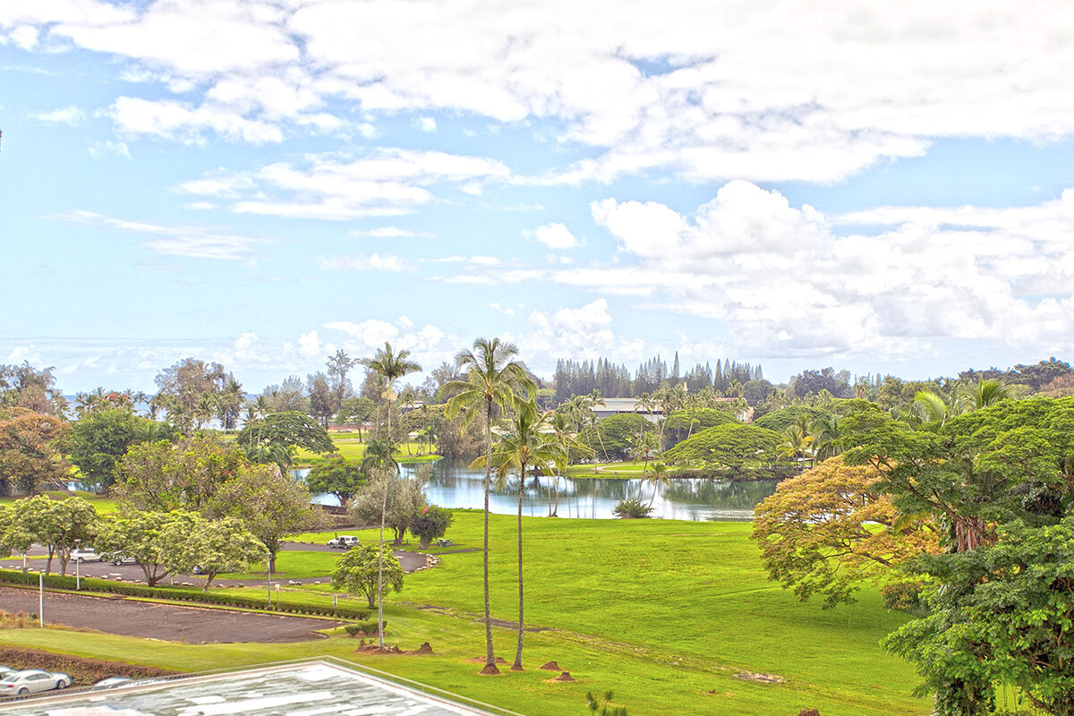 Property Photo: 101 Hilo Lagoon Centre 720 HI 96720