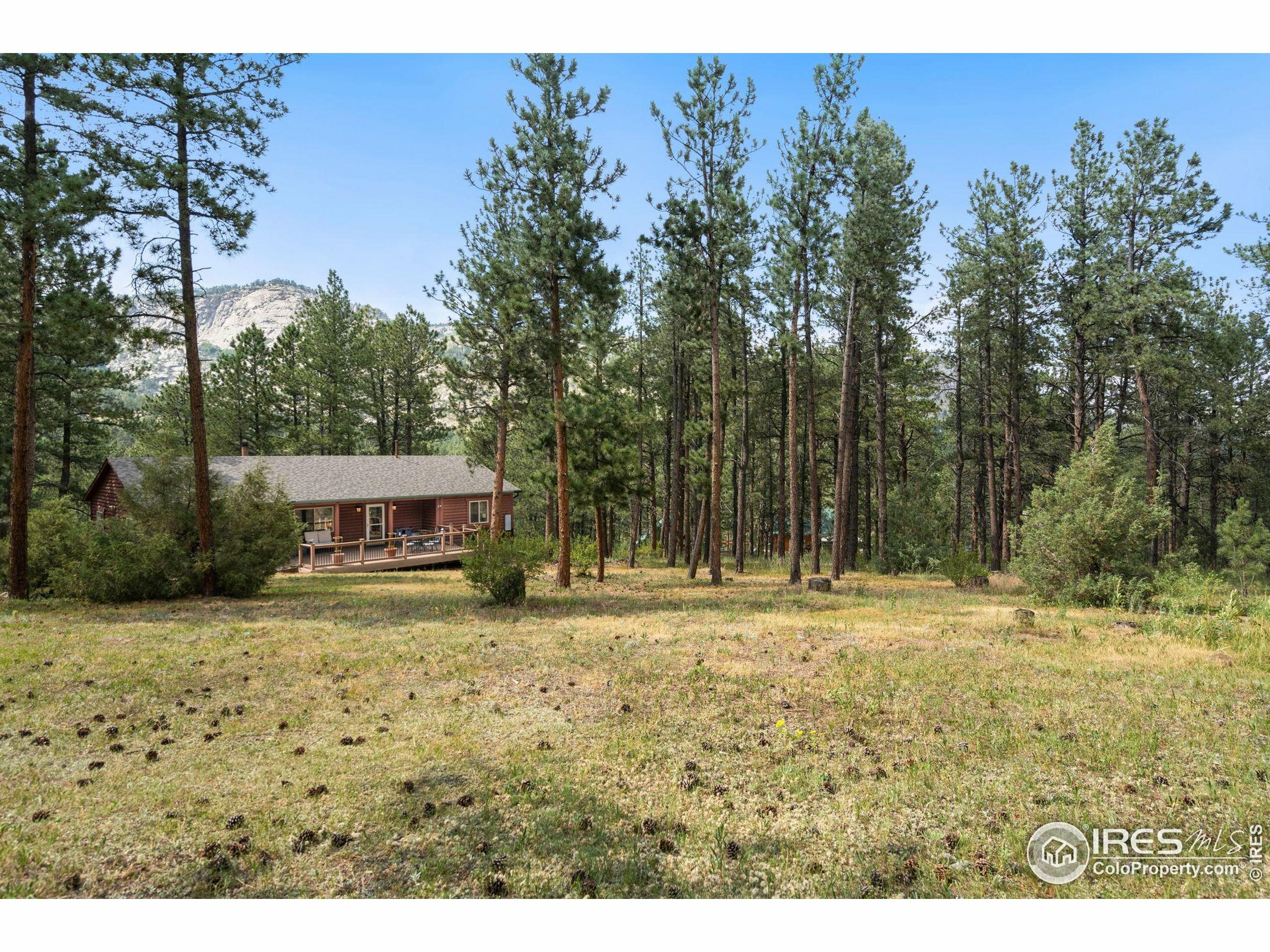 Property Photo:  341 Spruce Mountain Dr  CO 80515 