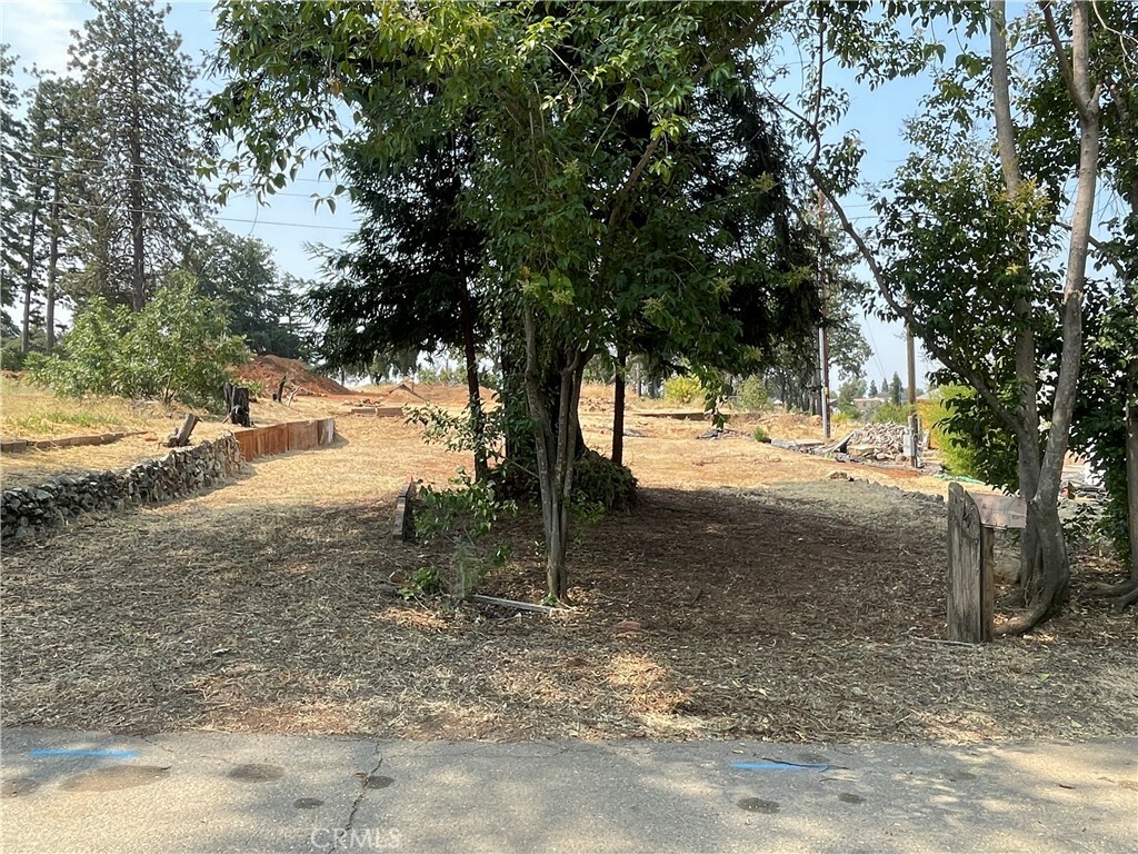 Property Photo:  558 Barbara Way  CA 95969 