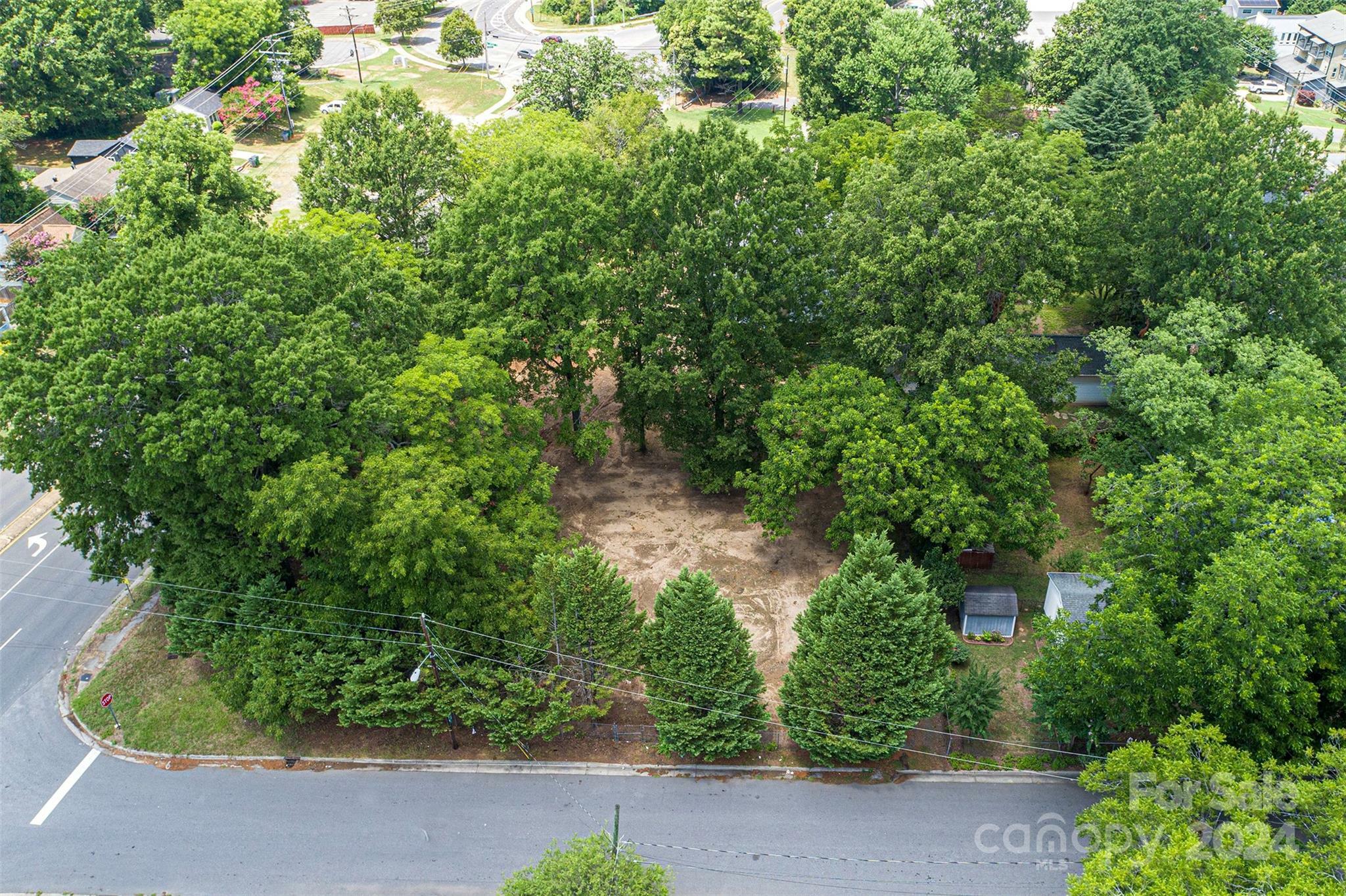 Property Photo:  709 Matheson Avenue  NC 28205 