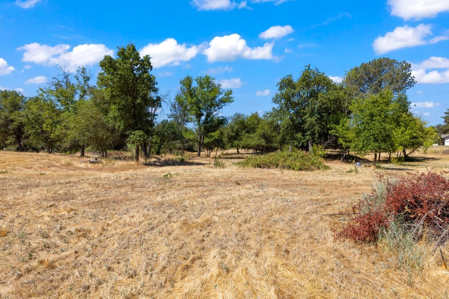 Property Photo:  4 Golden Gate Avenue  CA 95662 