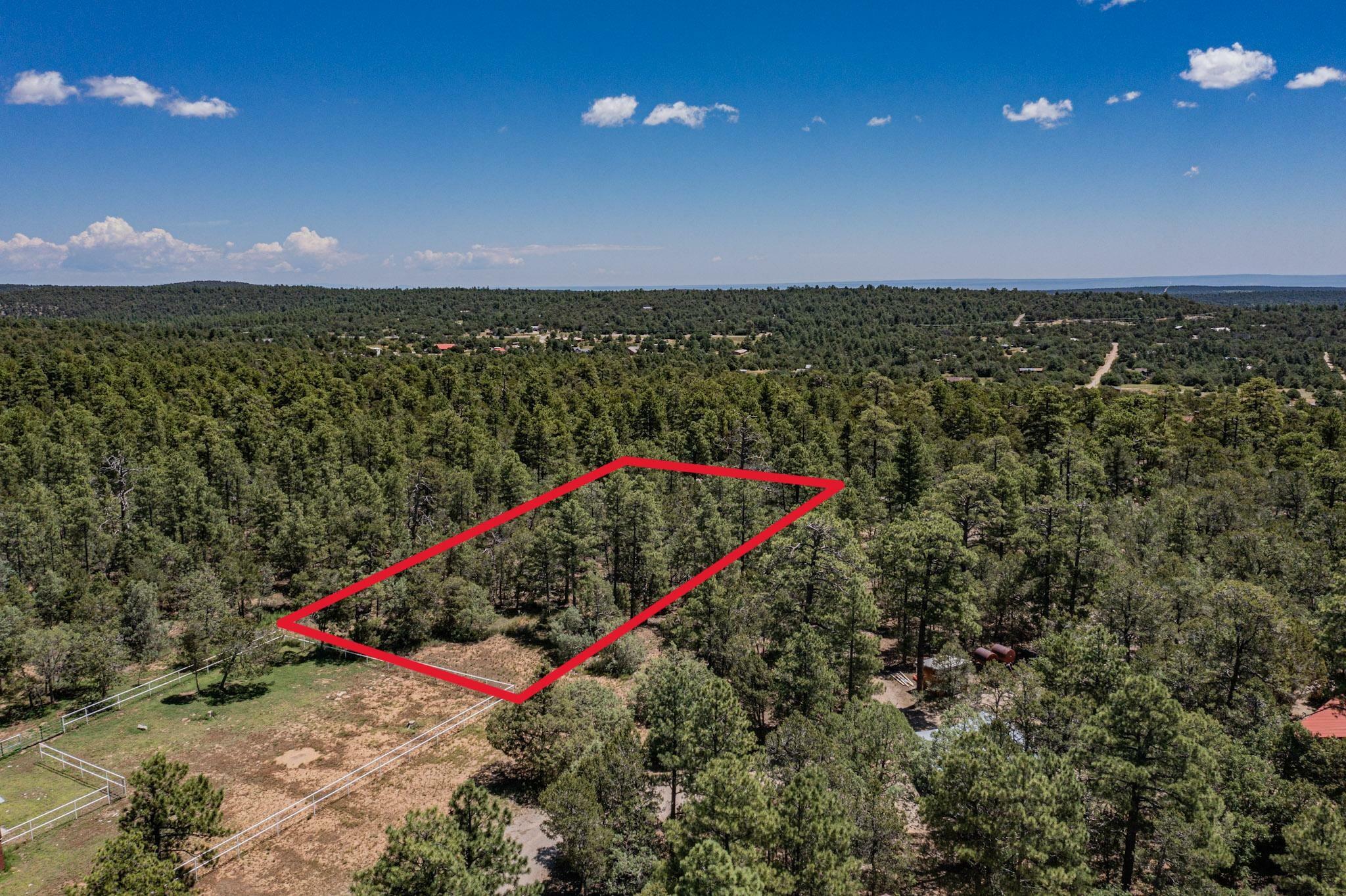 Property Photo:  26 Bobolink Lane  NM 87059 