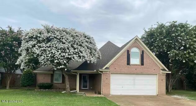 10078 Fox Hunt Drive  Olive Branch MS 38654 photo