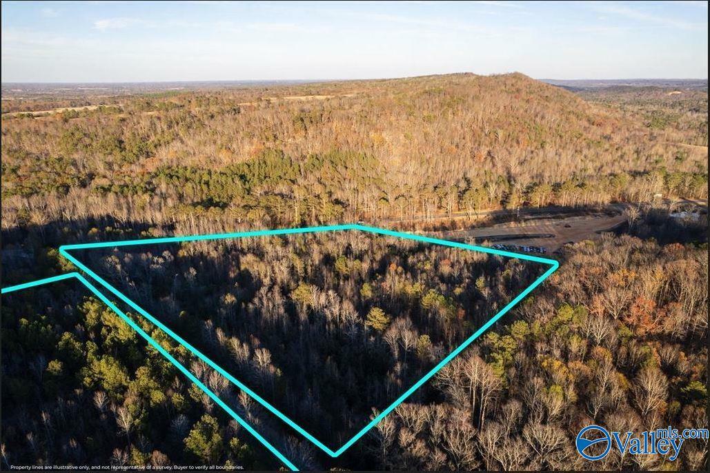 20 Acres 0 County Highway 41  Altoona AL 35952 photo