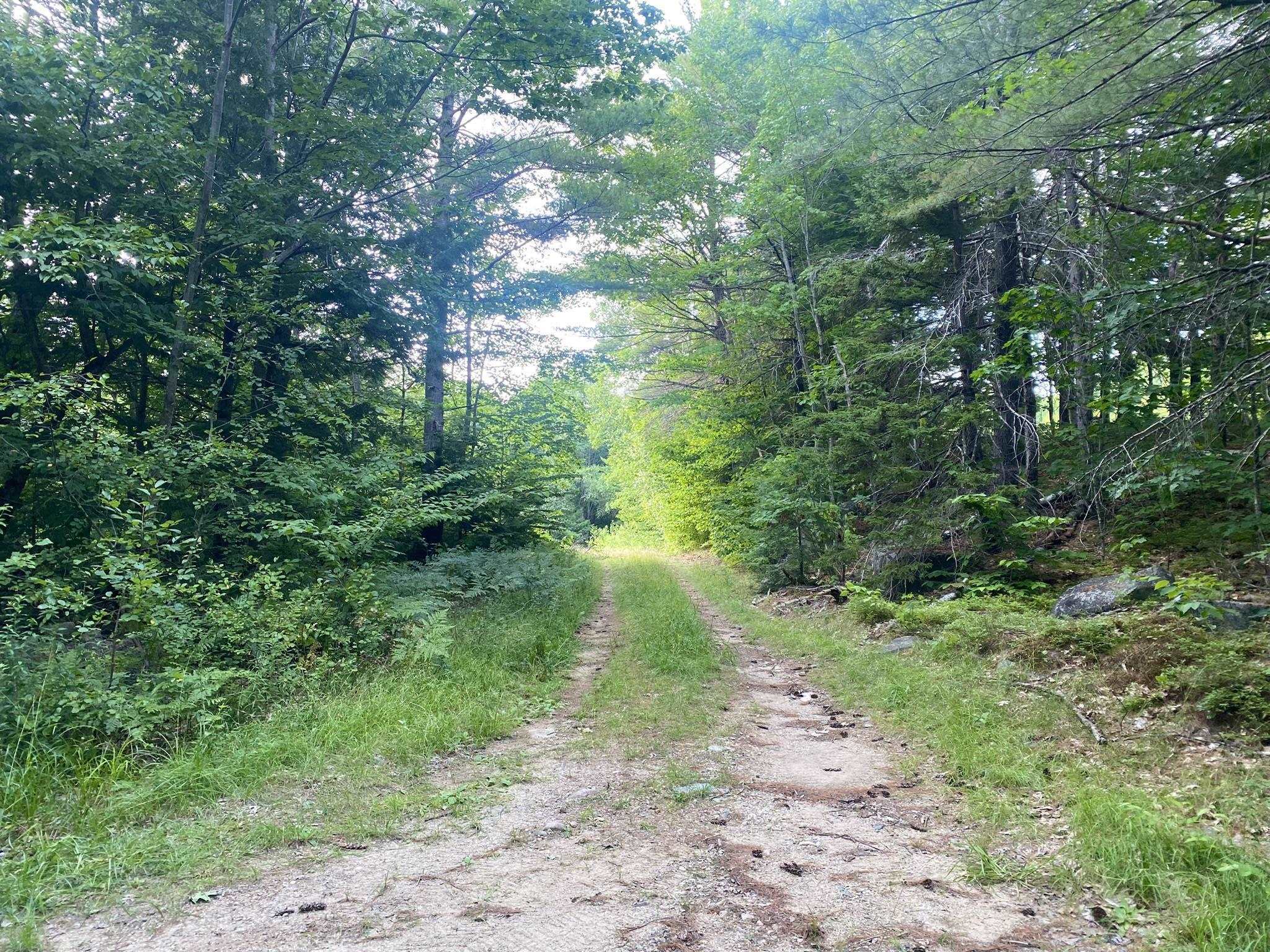 Property Photo: Willis Bean Road NH 03832