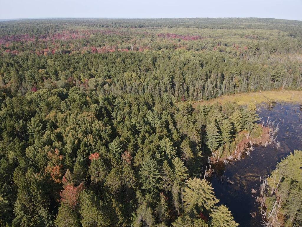 Property Photo:  S Branch Trail 40 Acres  MI 49749 