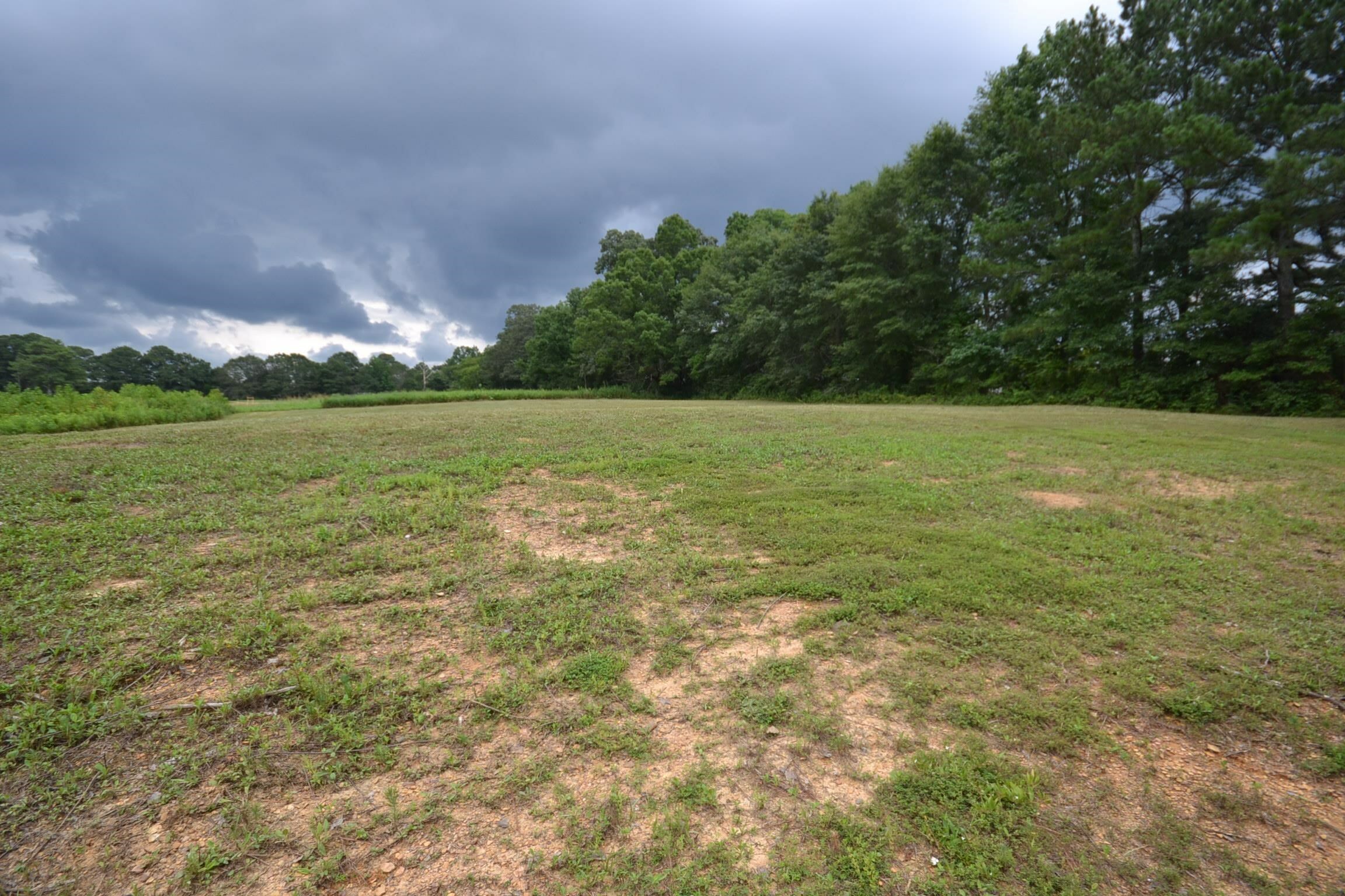 Property Photo:  Lot 1 &Amp 2 Orchard Dr  AL 35055 - CULLMAN 