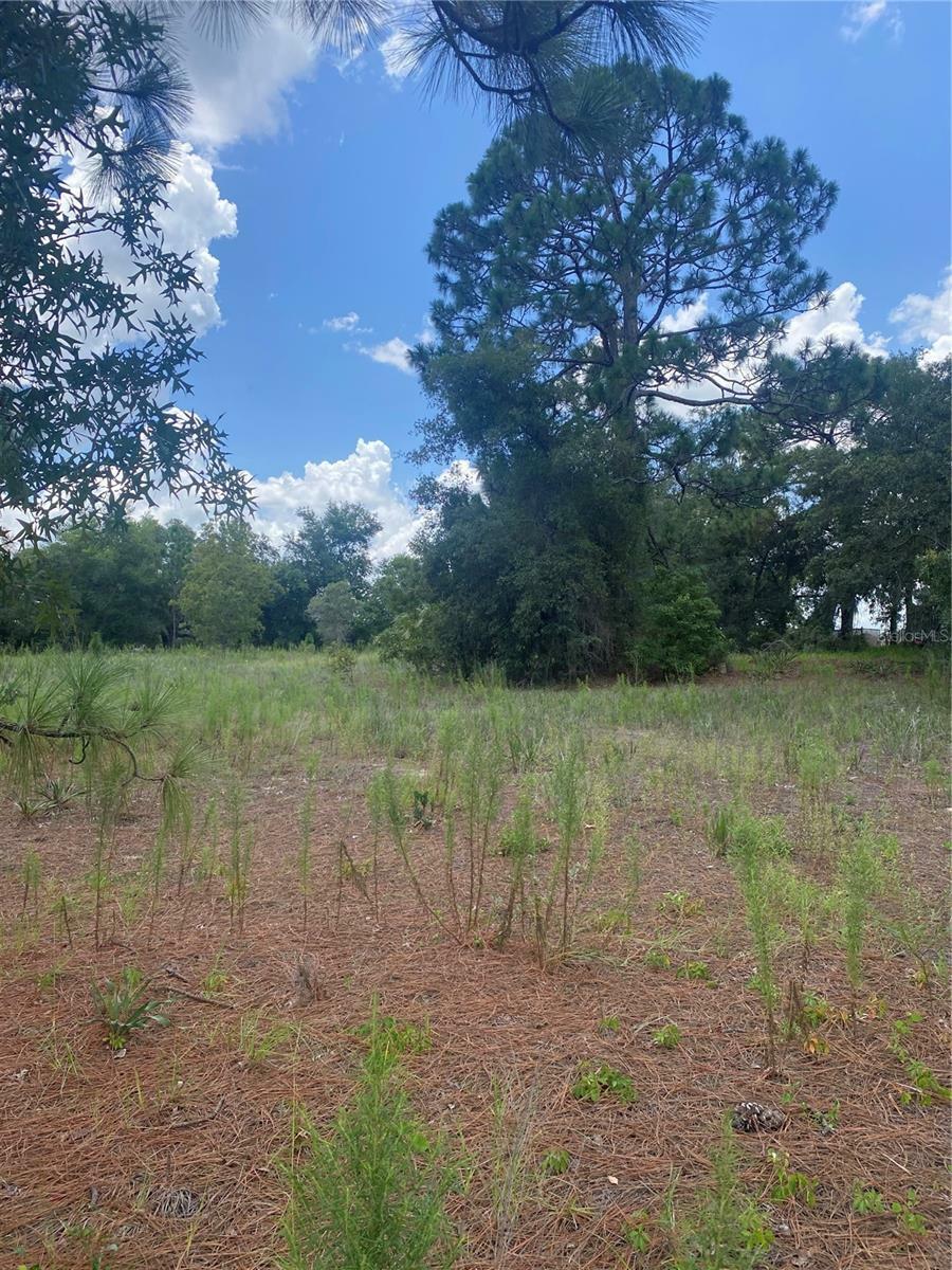 Property Photo:  17314 County Line Road  FL 34610 