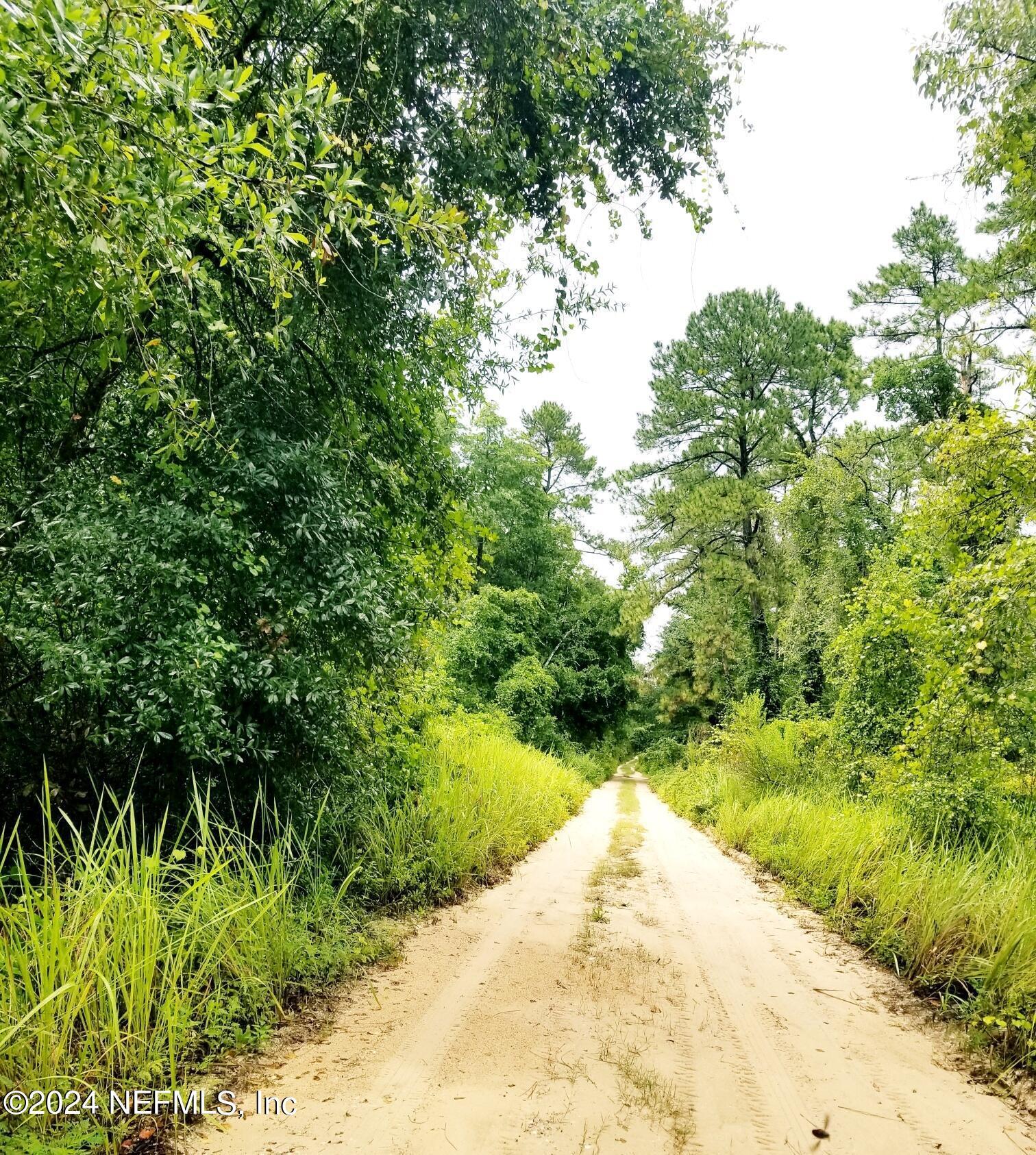 Property Photo: Lot 3 Edgehill Road FL 32189