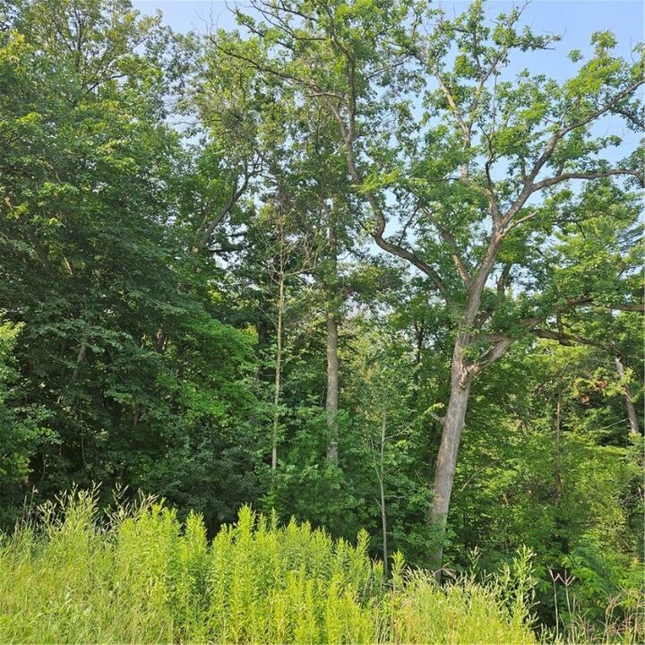 Xxx E Race Avenue  Elmwood WI 54767 photo