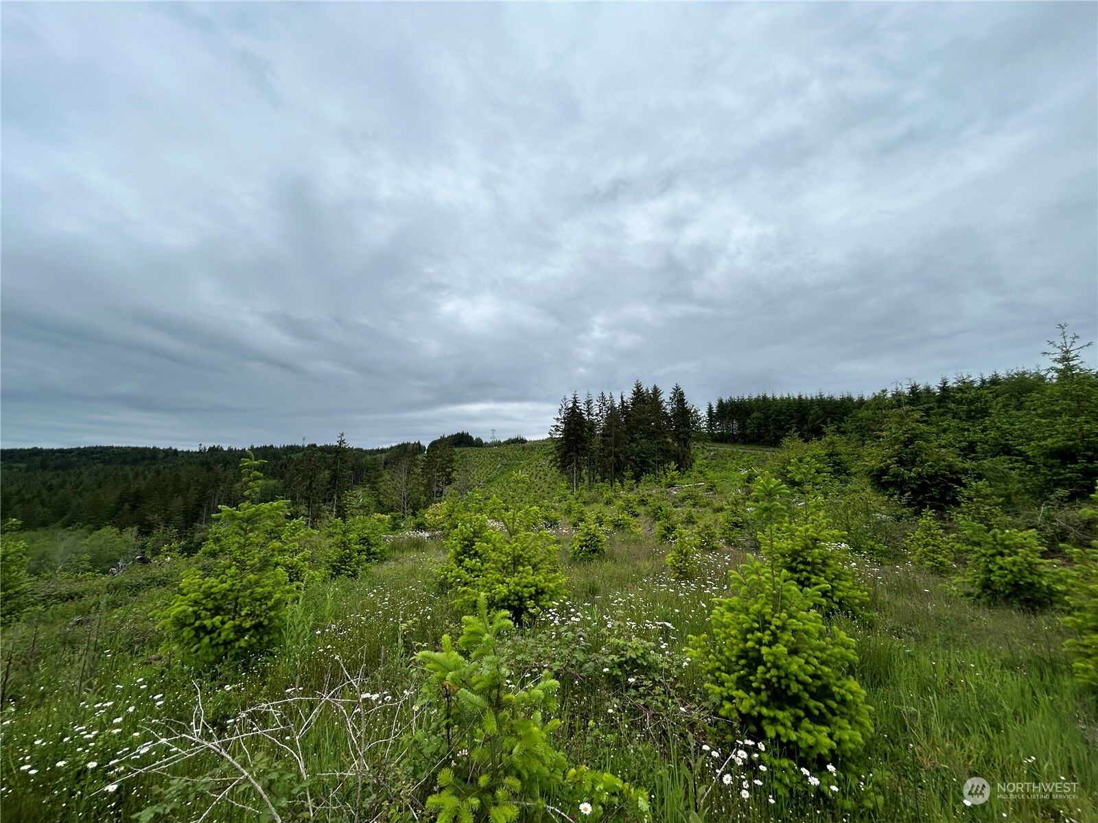 Property Photo:  0 Nka Mt Brynion Road  WA 98626 