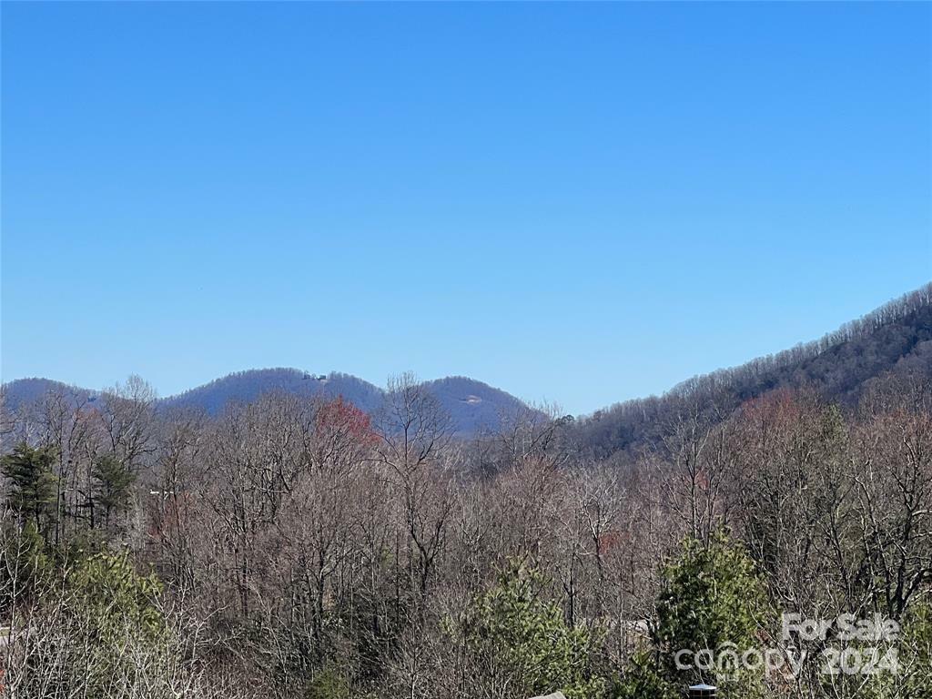 Property Photo:  365 Feather Falls Trail S 48  NC 28711 