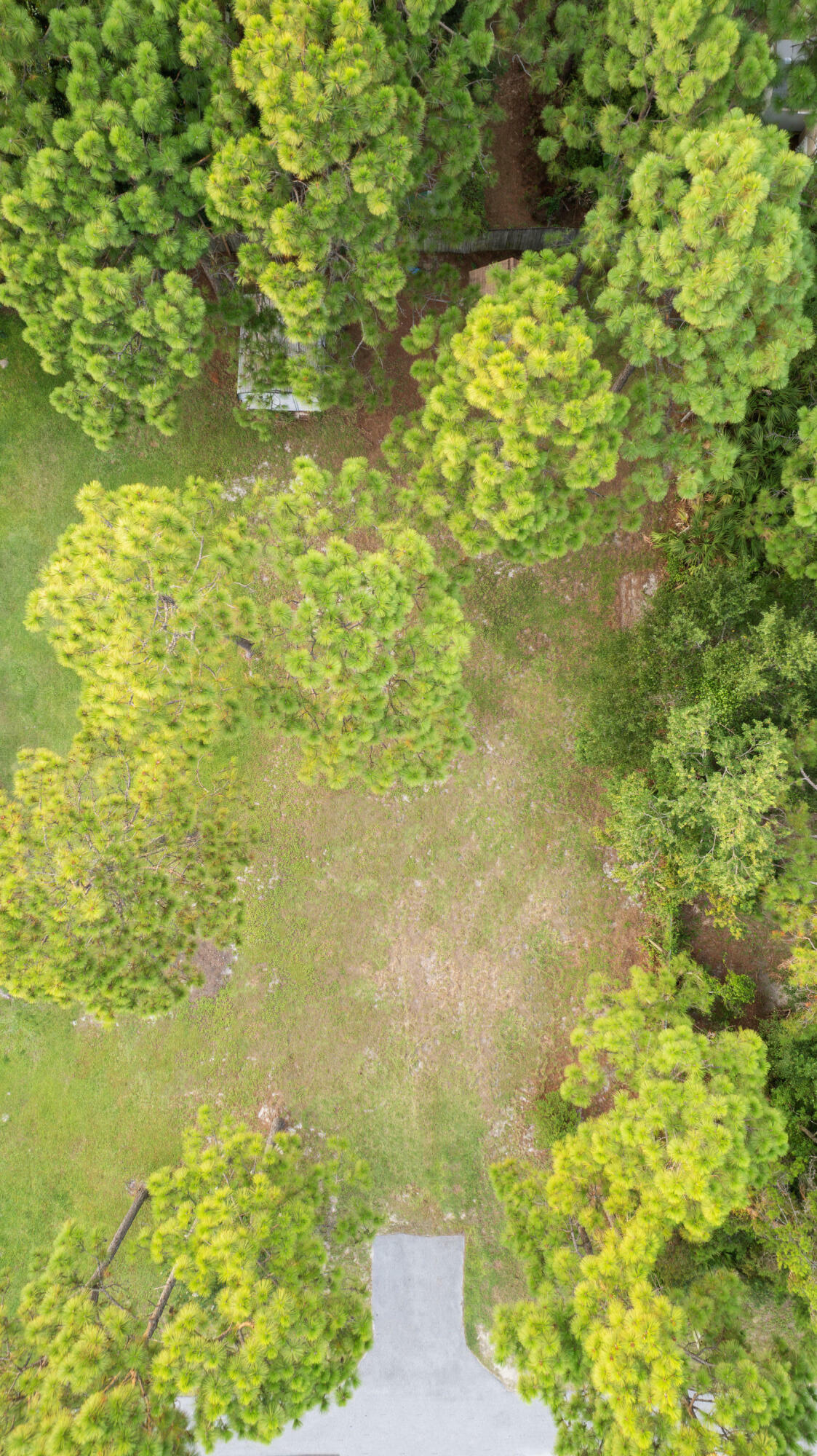 Property Photo:  Lot 2 Bluebell Circle  FL 32459 