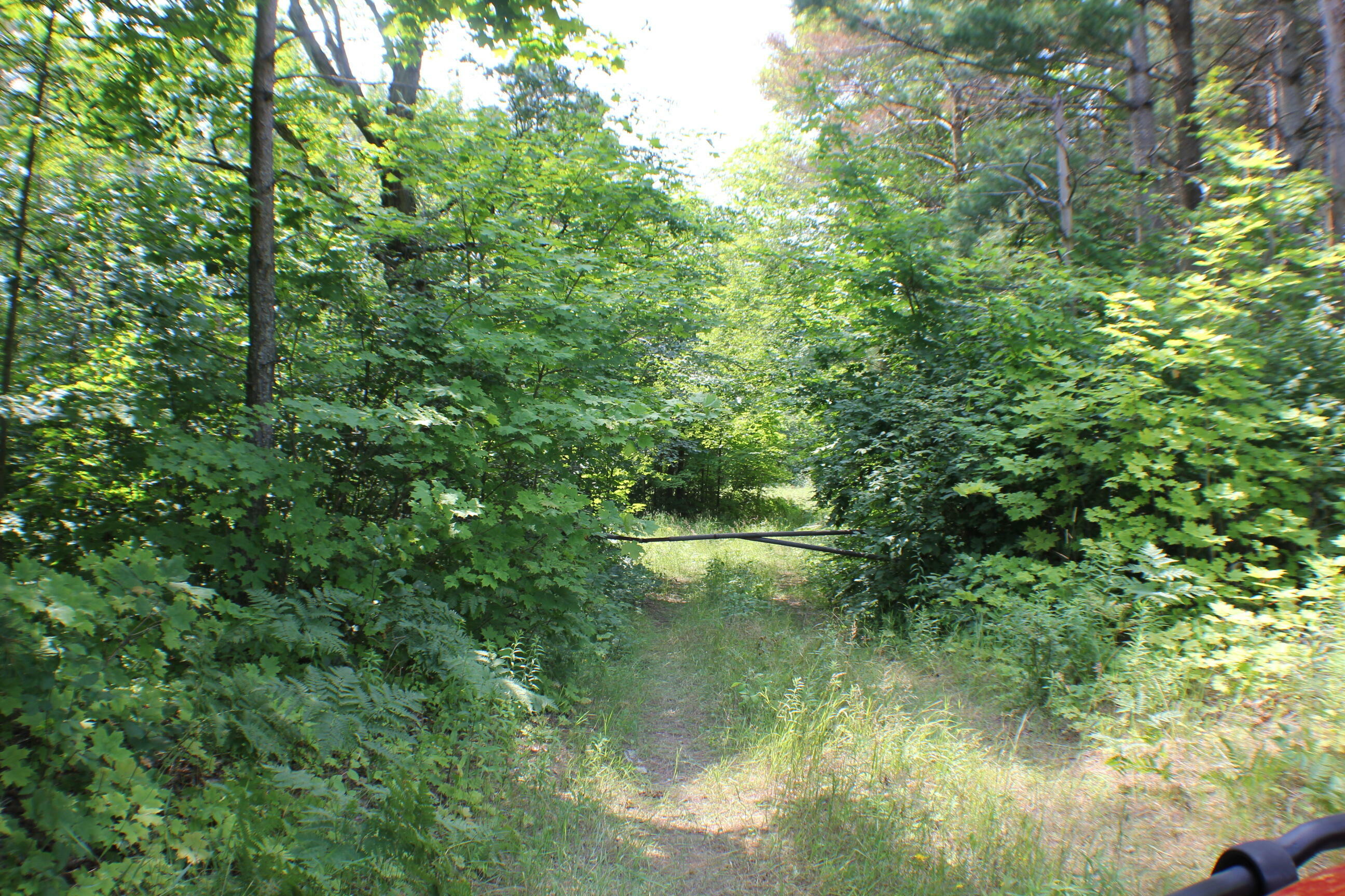 Property Photo:  5744 N Webb Rd  MI 49745 