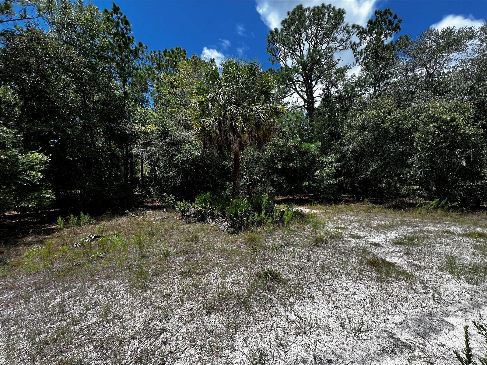 Property Photo:  7416 N Nathan Point  FL 34428 