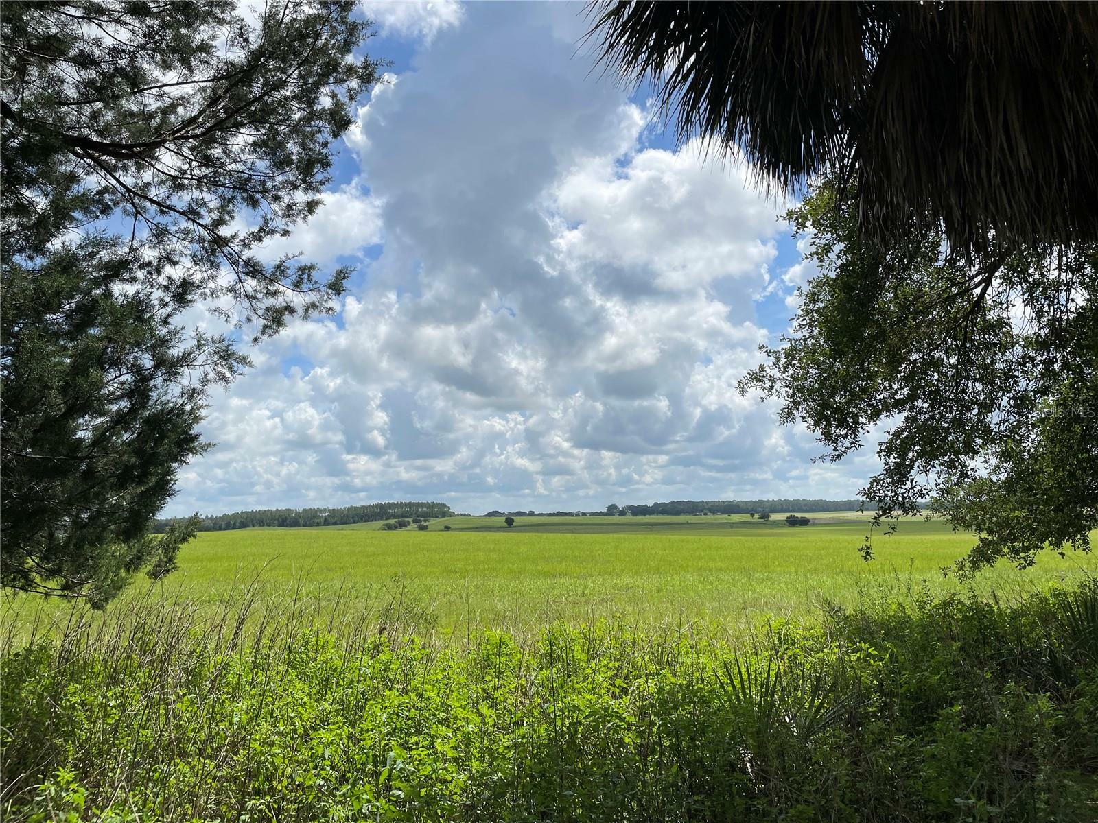 Property Photo:  185 NW Timberlake Road  FL 34431 