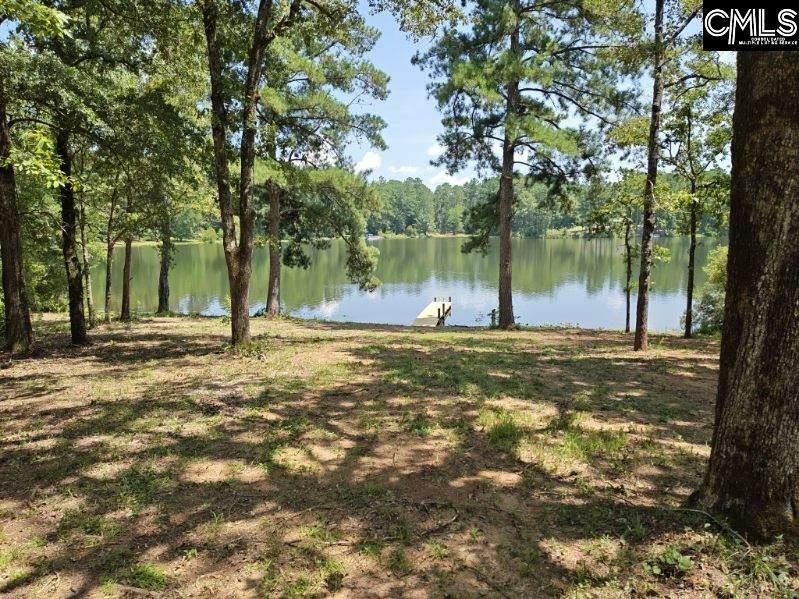 Property Photo:  833 Edisto Lake  SC 29164 