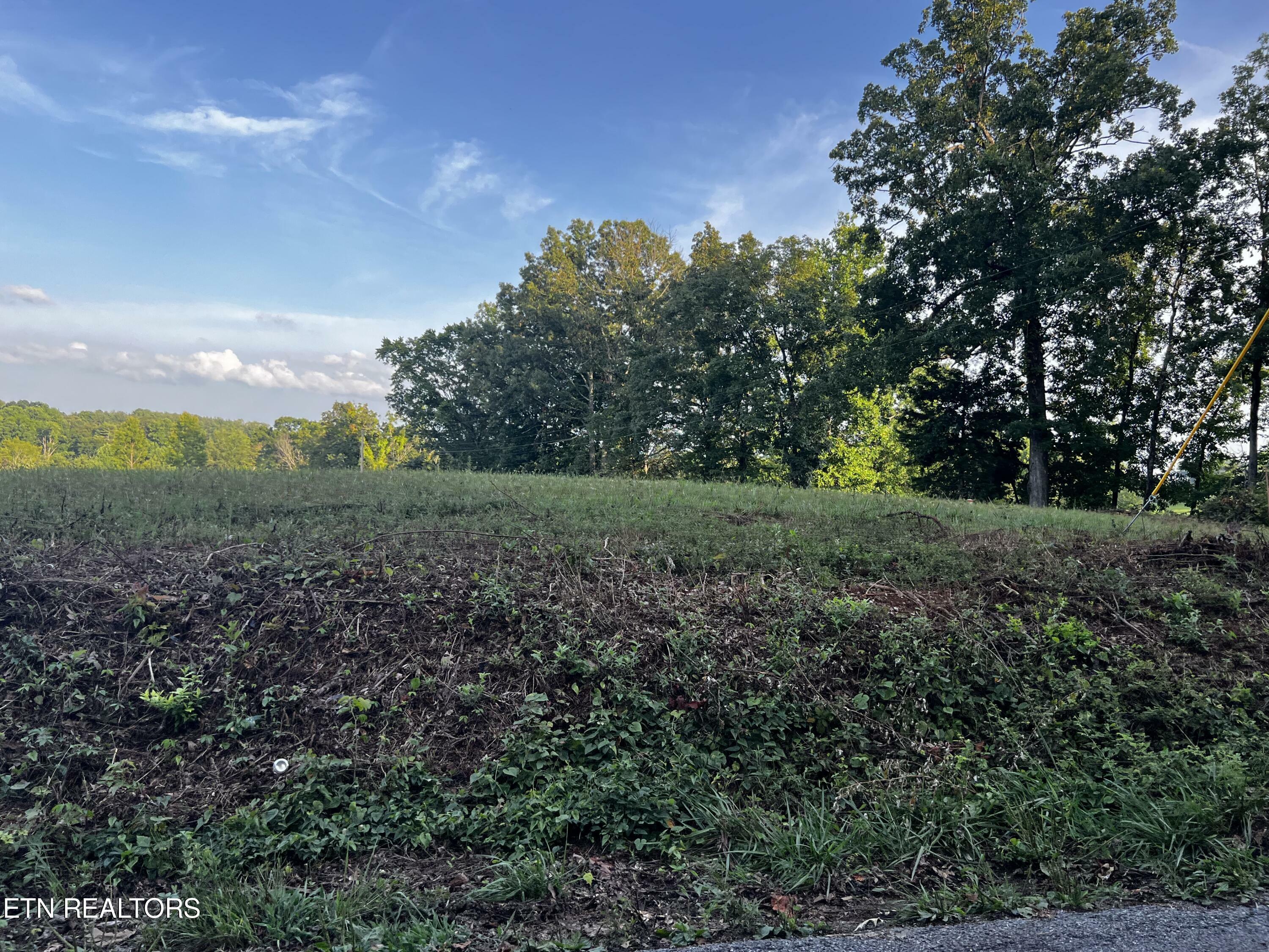 Property Photo:  196 Copenhaver Rd  TN 37771 