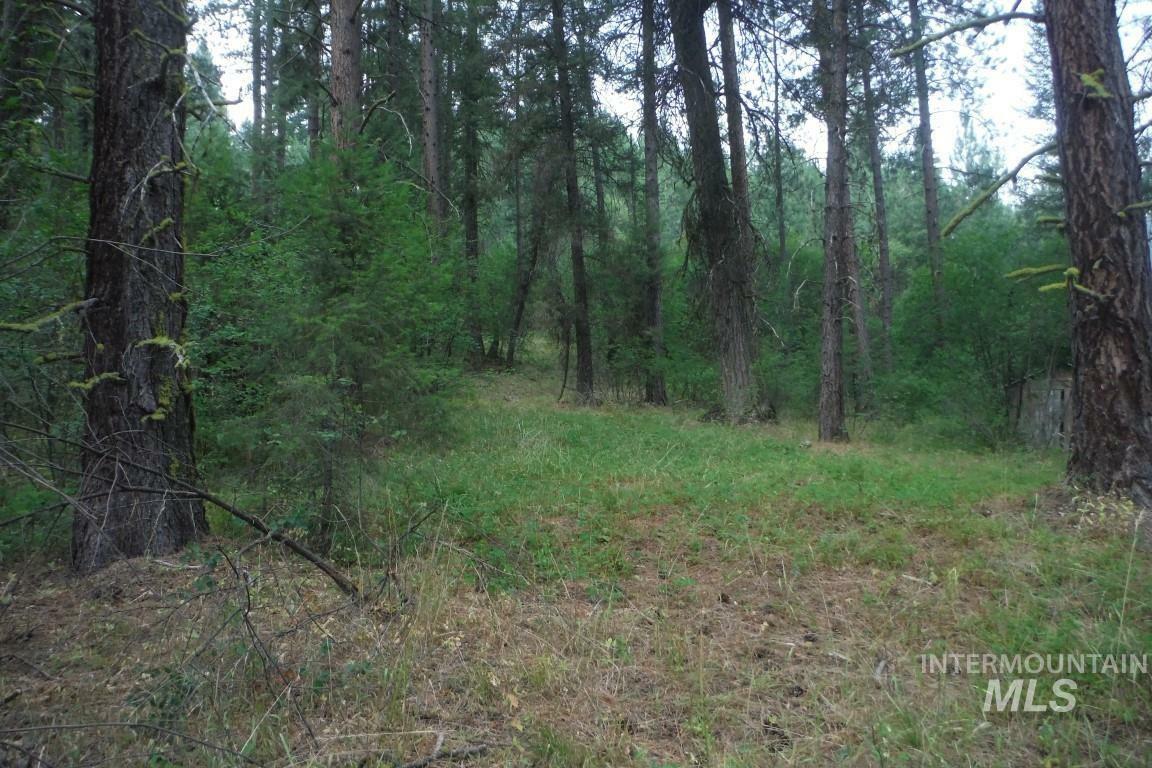 Property Photo:  73 Beaver Creek Rd  ID 83716 