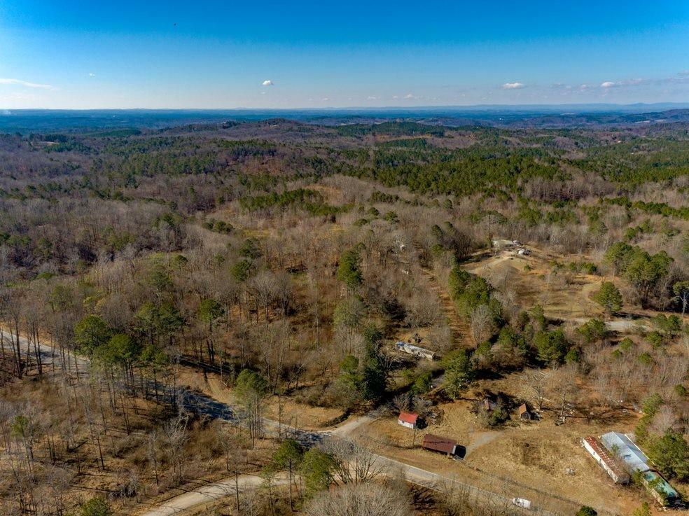 0 Bryant Loop  Ranger GA 30734 photo