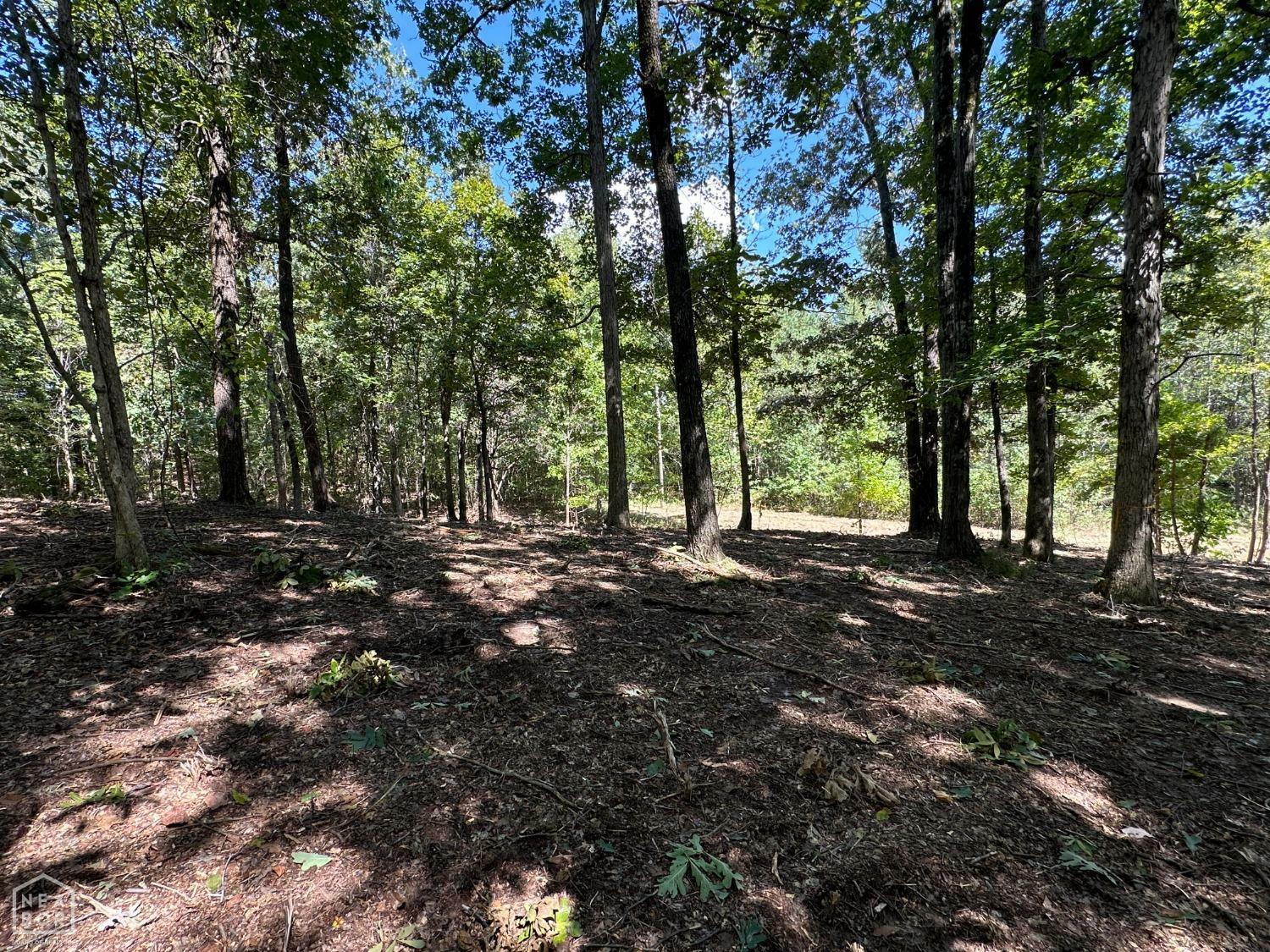 Property Photo:  159 County Road 389  AR 72416 