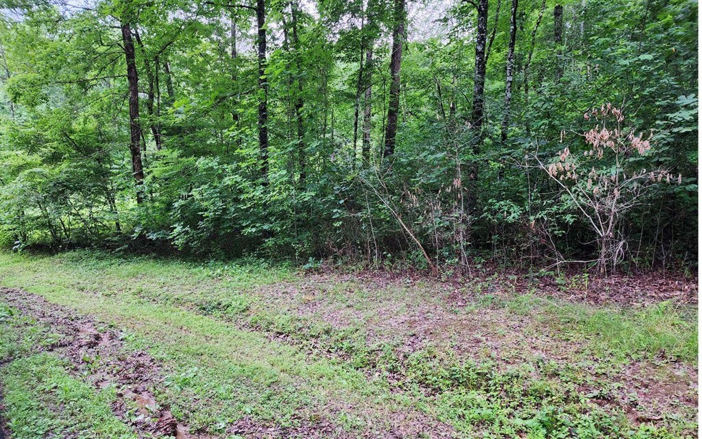 Property Photo:  15&16 Lonesome Pine Road  NC 28906 