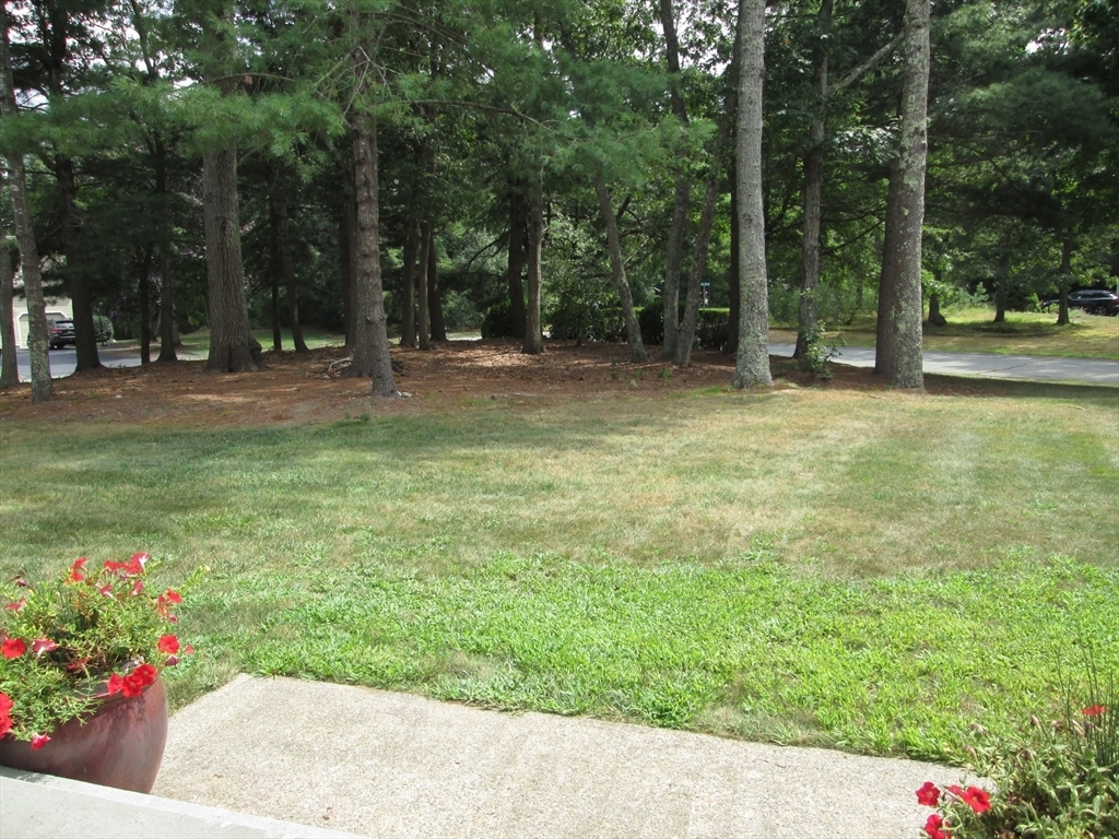 Property Photo:  26 Holly Tree Drive  MA 02364 