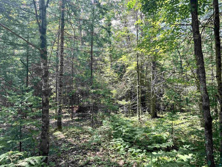 Property Photo:  Xxx Chippewa Tr  WI 54867 