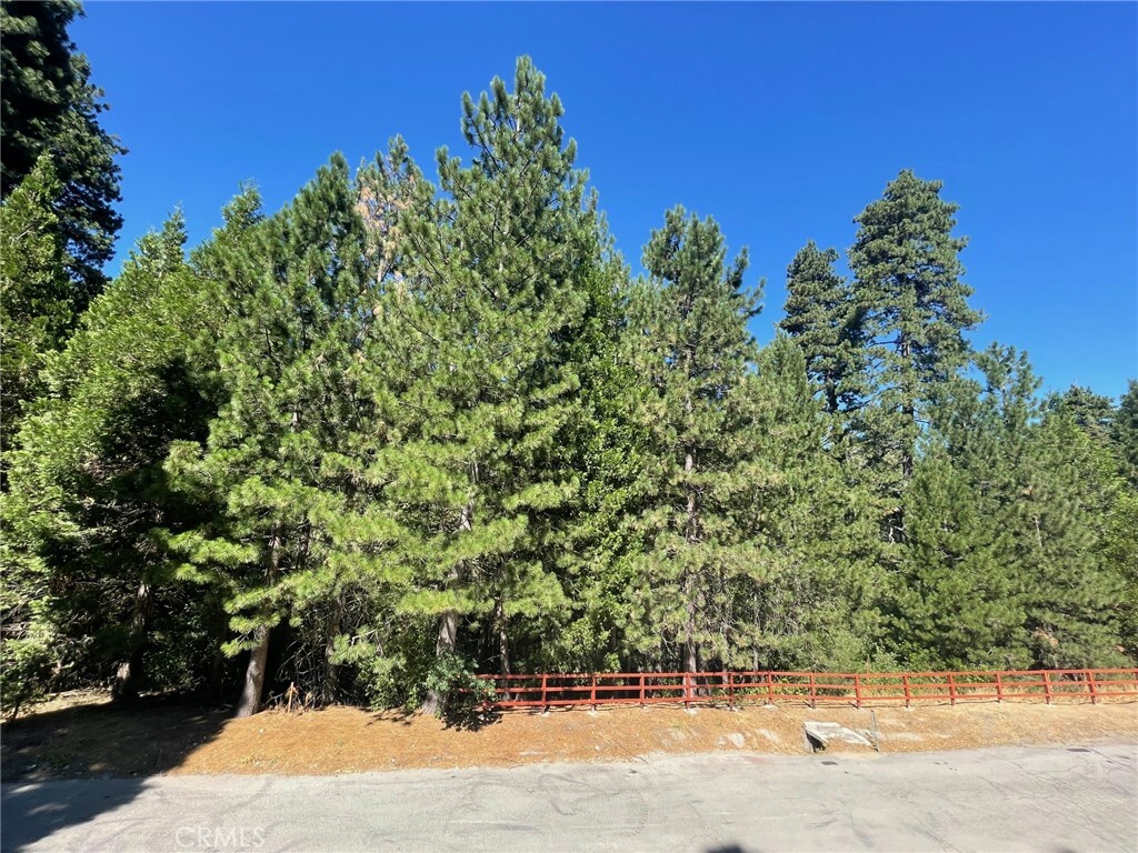 Property Photo:  585 Karenken Pines Road  CA 92352 