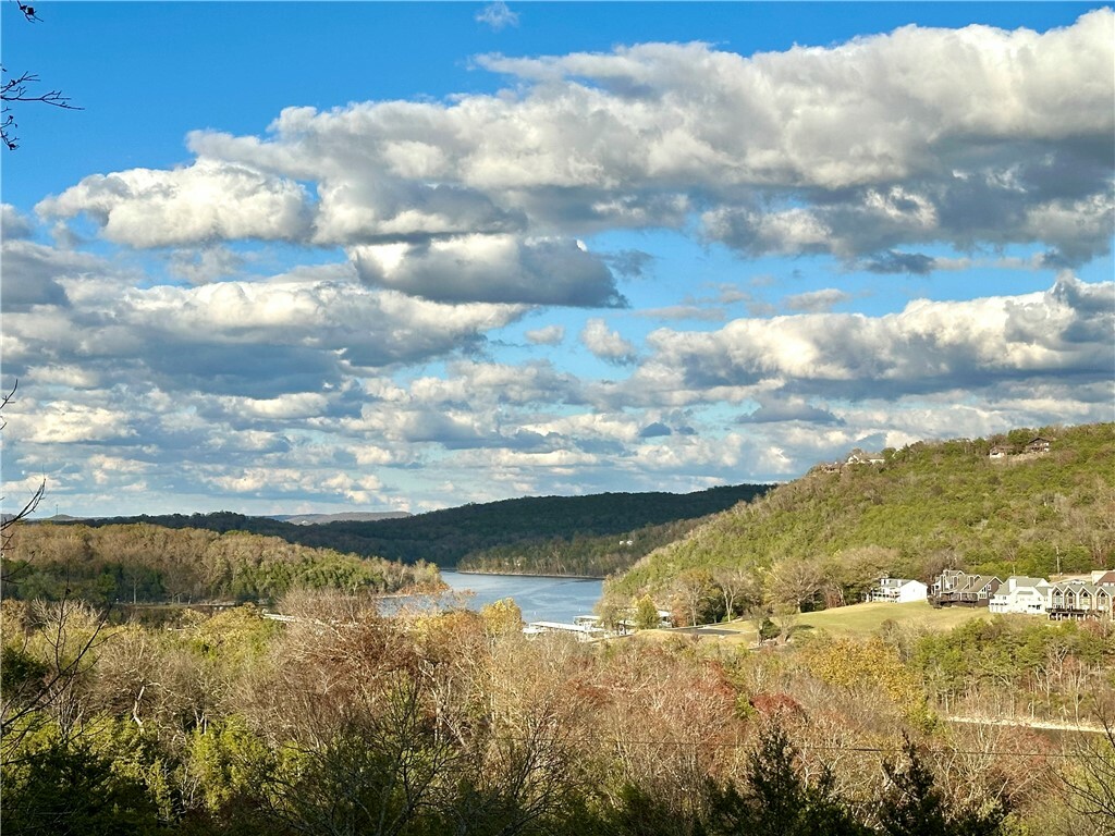 Property Photo:  130 Beaver Drive  AR 72631 