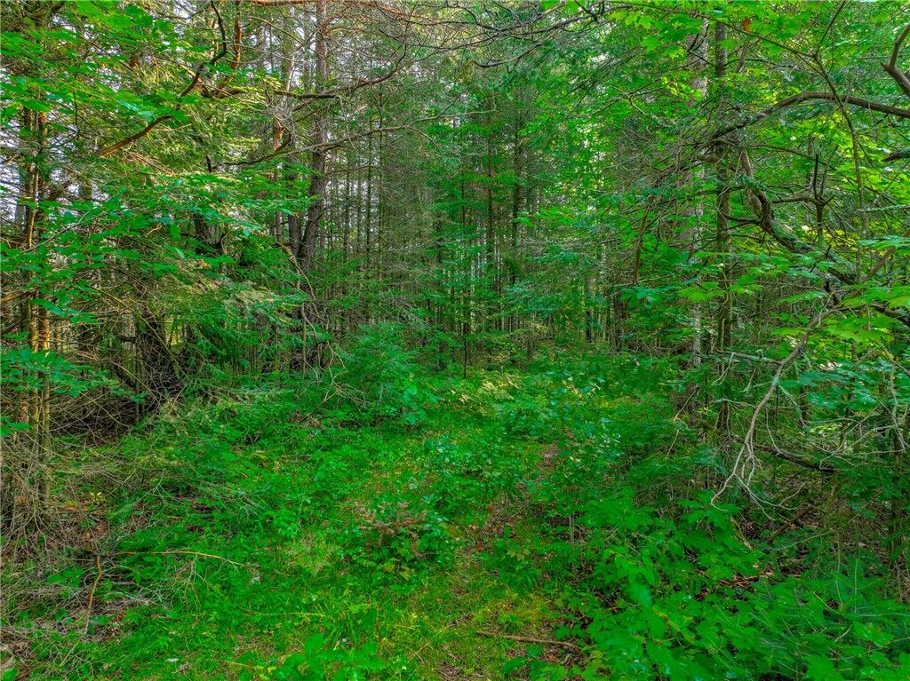 Property Photo:  Xxxx W Moose Lake Road  WI 54843 