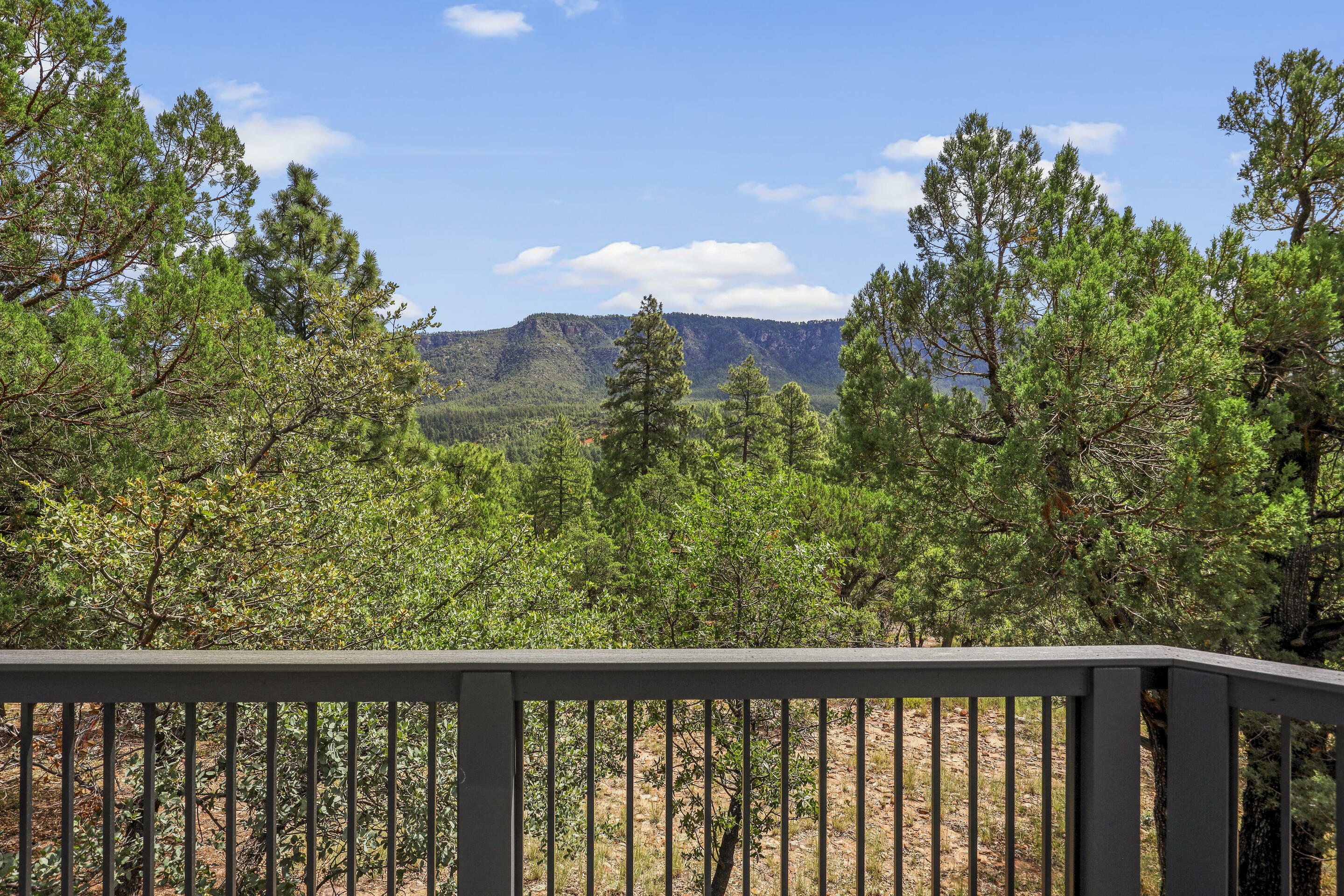 Property Photo:  4863 Lakeview Lane  AZ 85544 