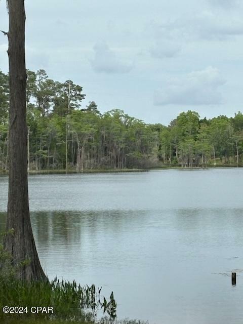 Property Photo:  Lot 20 Magnolia Drive  FL 32428 