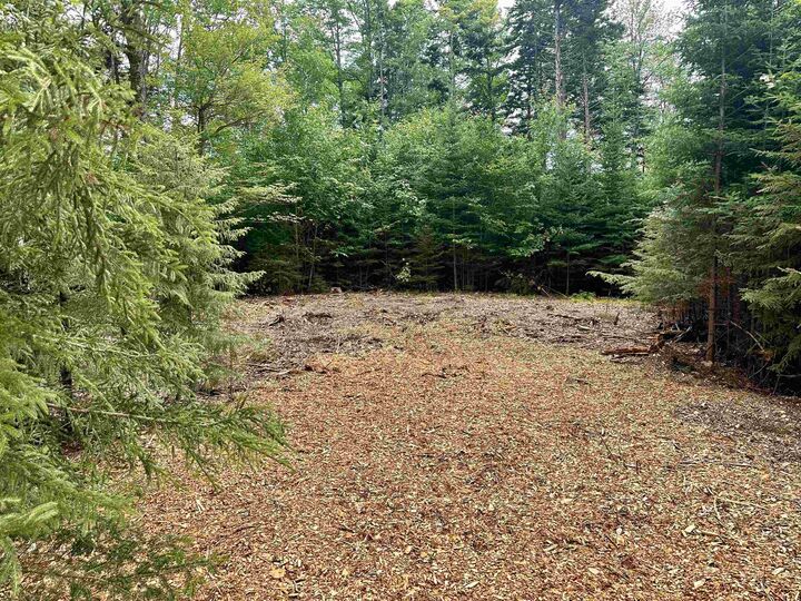 Property Photo:  00 Knolls Road  VT 05674 