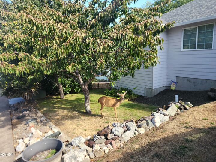 Property Photo: 2473 NE 57th Court OR 97367