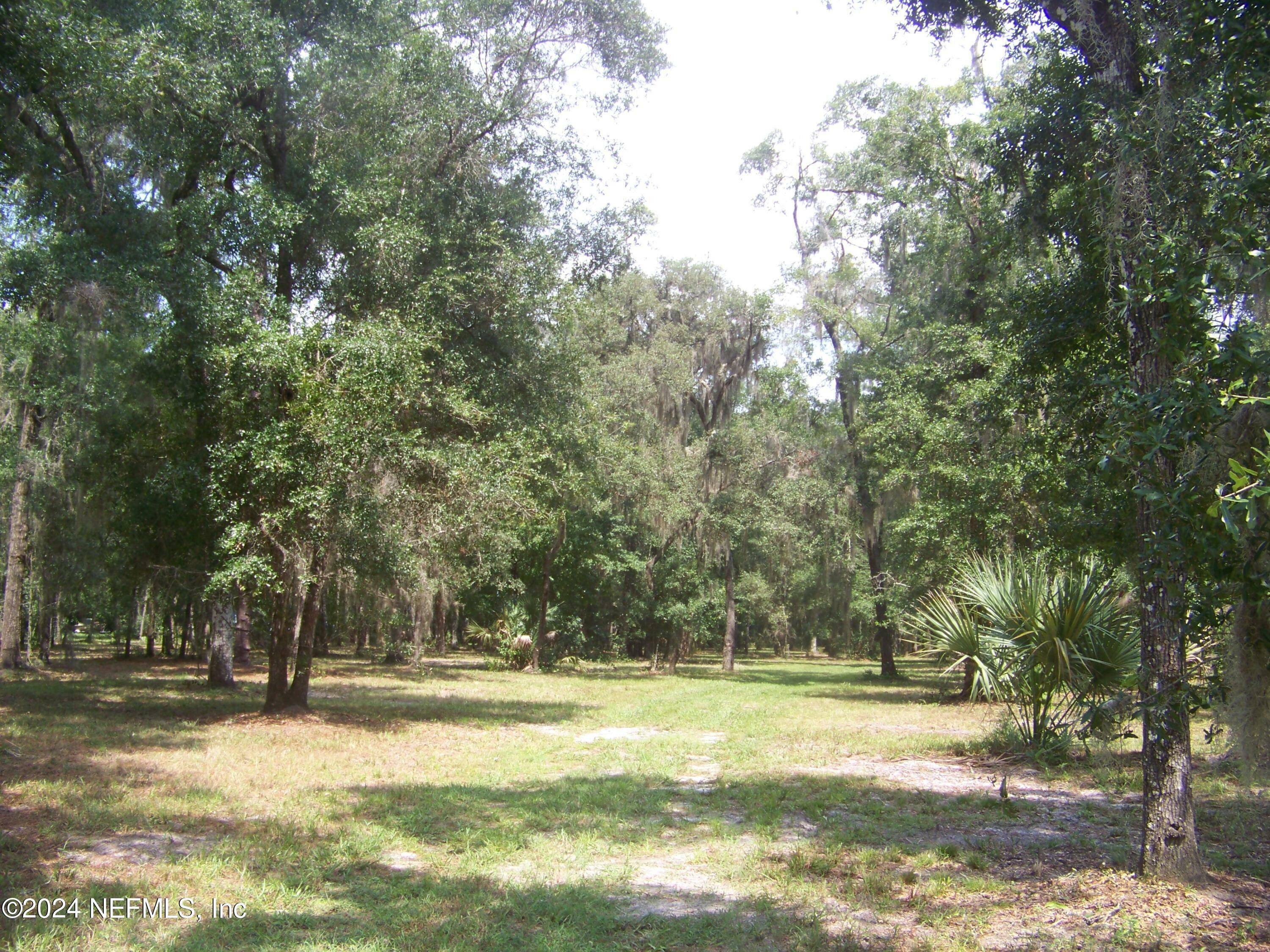 Property Photo:  234 Lake Street  FL 32181 