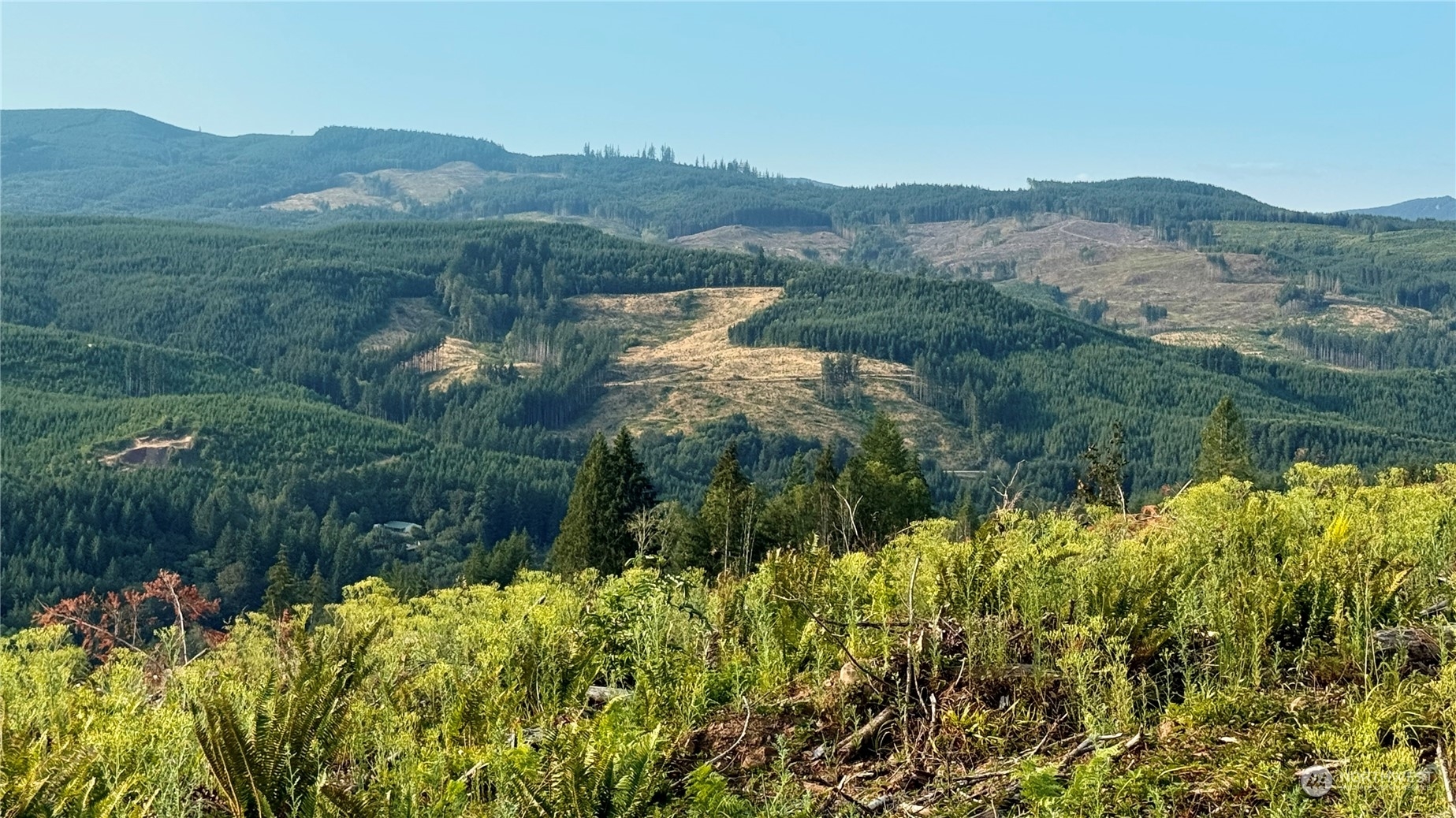 Property Photo:  3725 Little Kalama River Road  WA 98584 