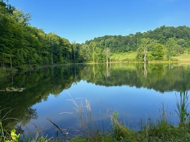 Property Photo:  1671 Mt Tussell Road  KY 42753 