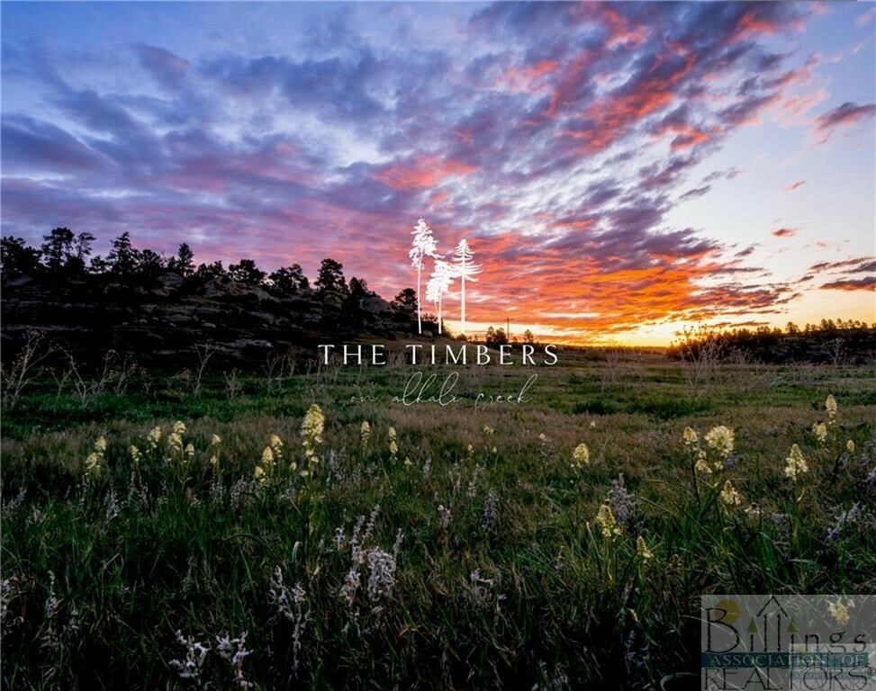 Property Photo:  Lot 52 Timbers Boulevard S  MT 59105 