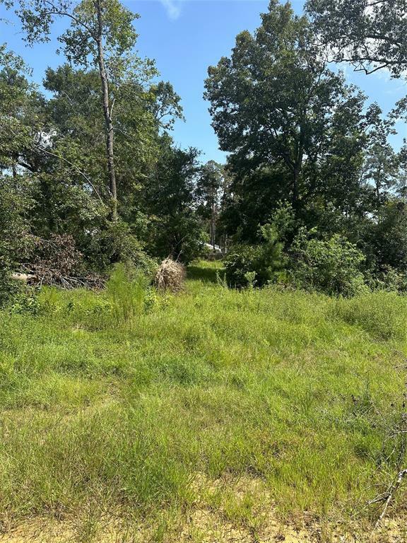 Property Photo: 2823 Parthenon Place TX 77357