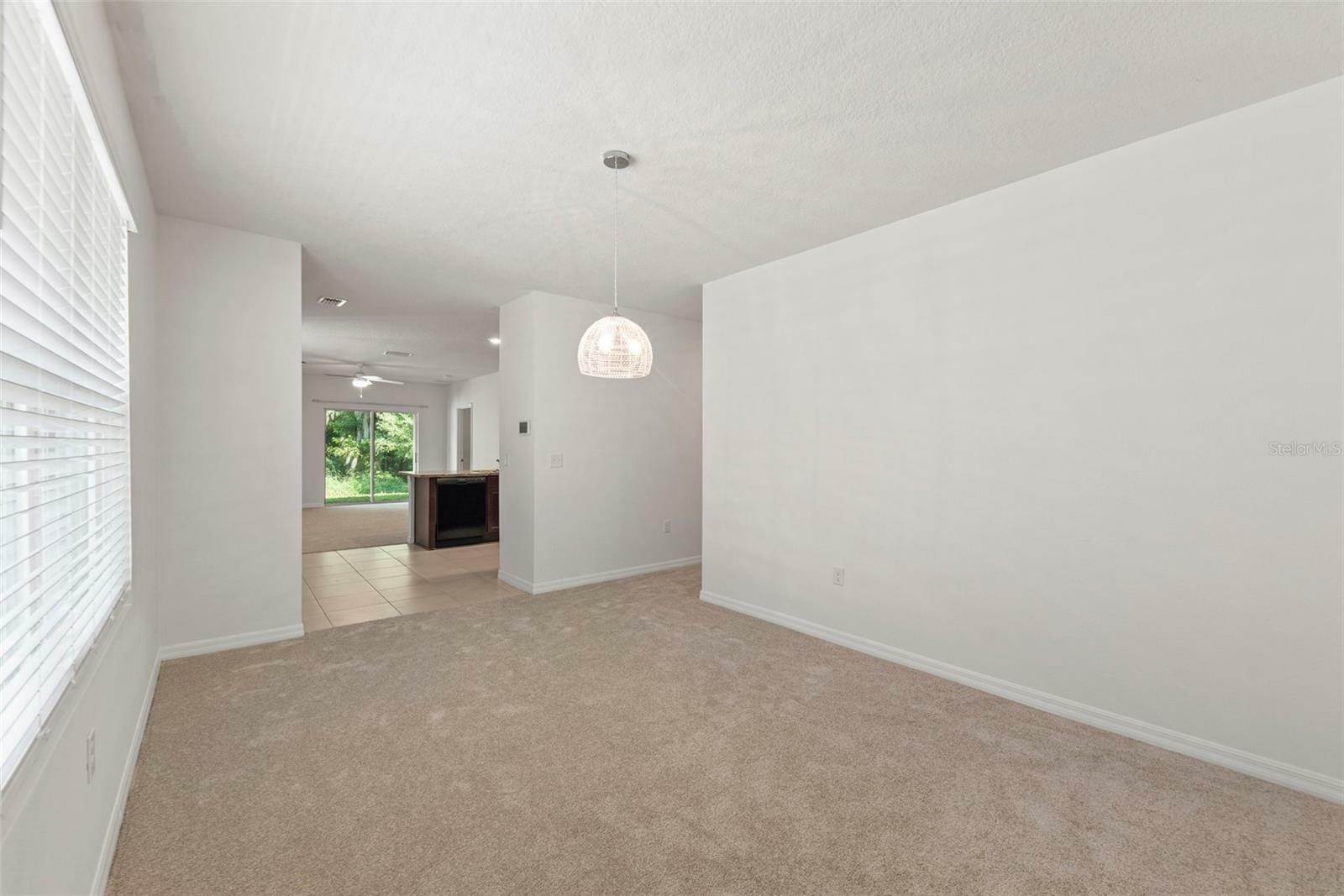 Property Photo:  10920 Carlton Fields Drive  FL 33579 