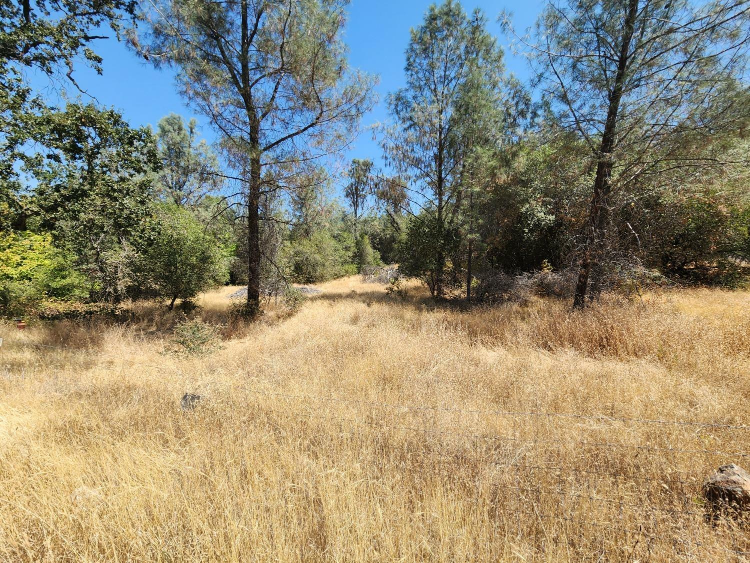 Property Photo:  10065 Melody Road  CA 95977 