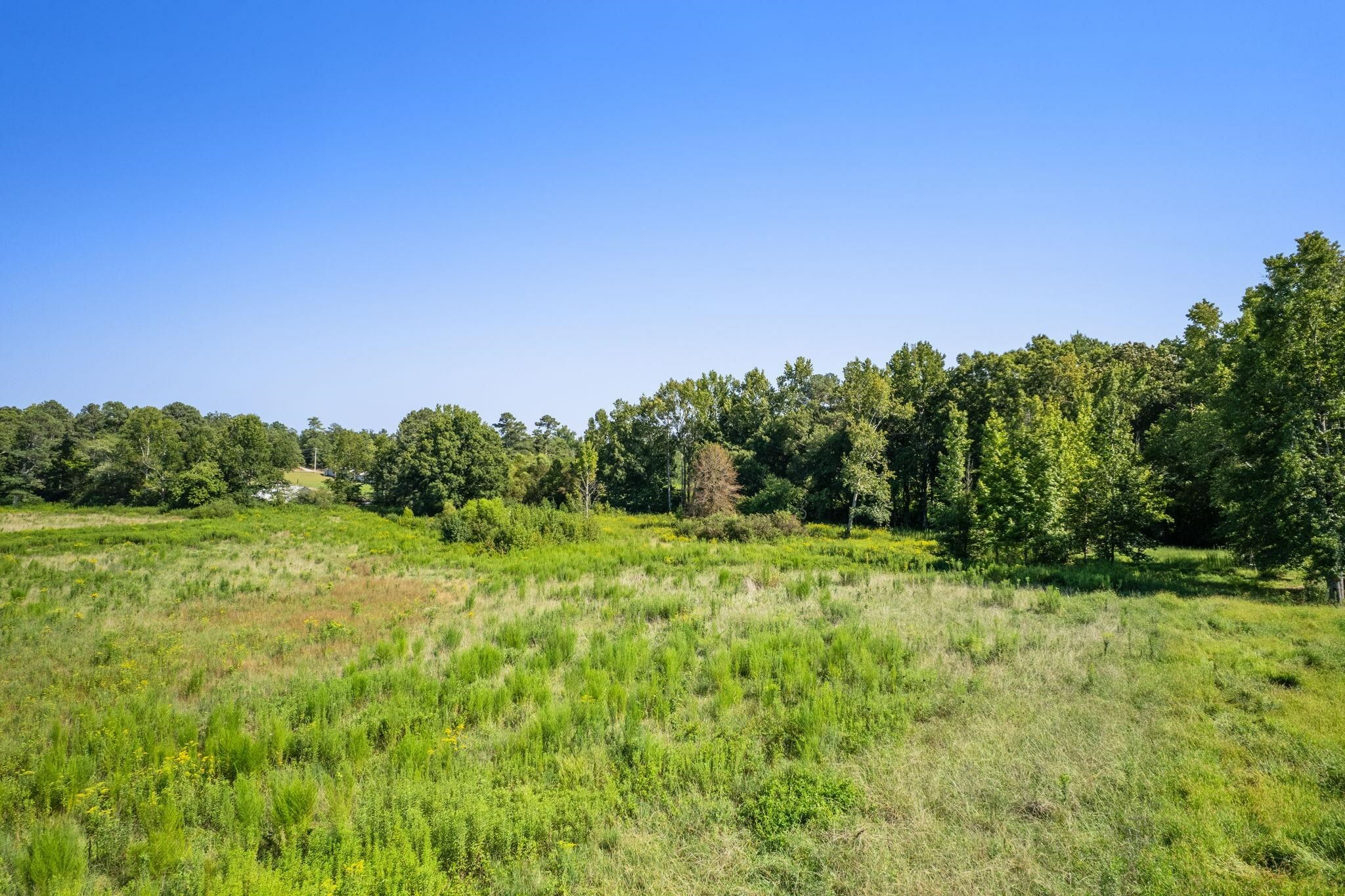 Property Photo:  1894 Co Rd 1269  AL 35179 - VINEMONT 