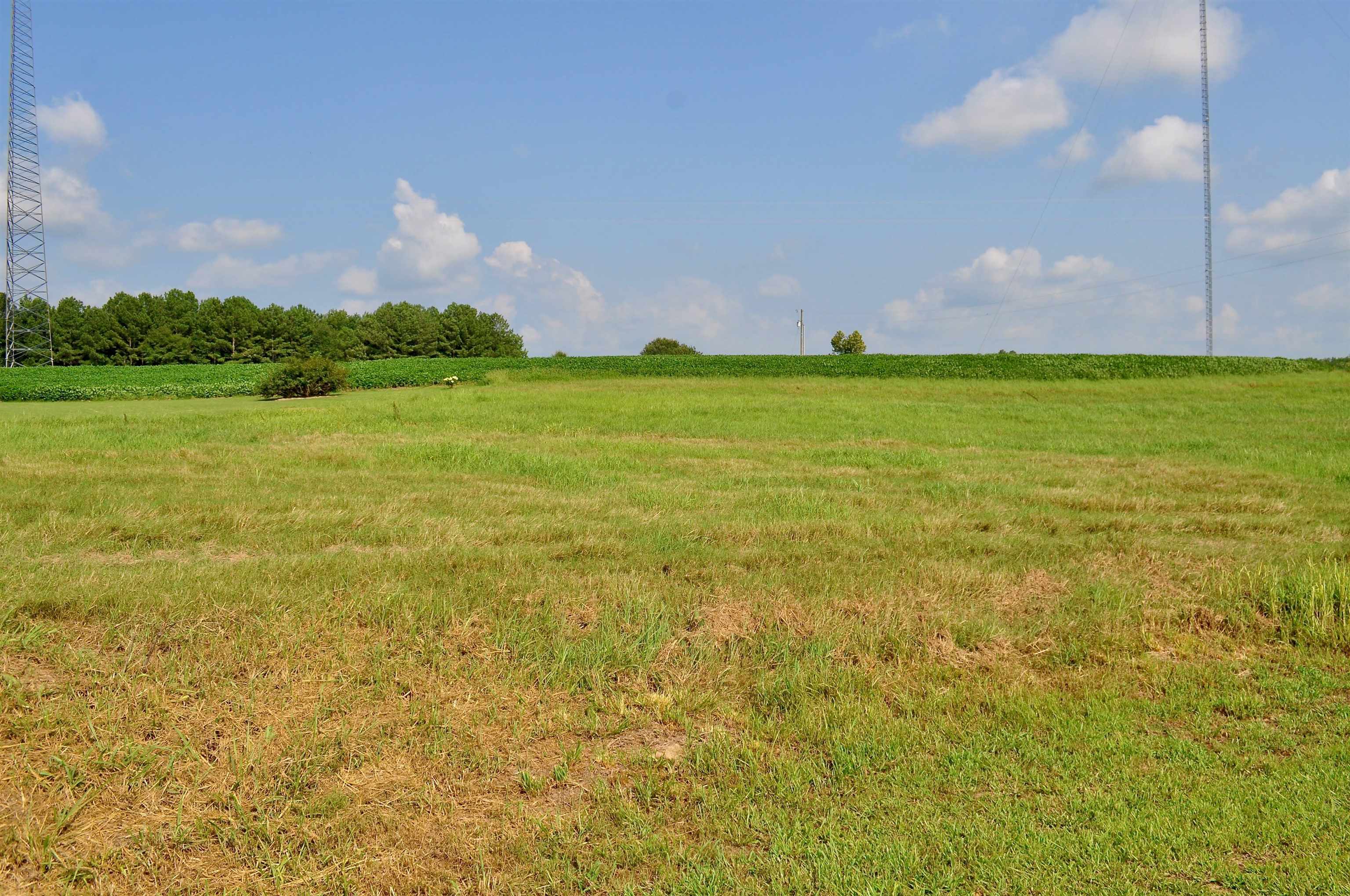 Property Photo:  Lot 13 Tiffani Dr  AL 35058 - CULLMAN 